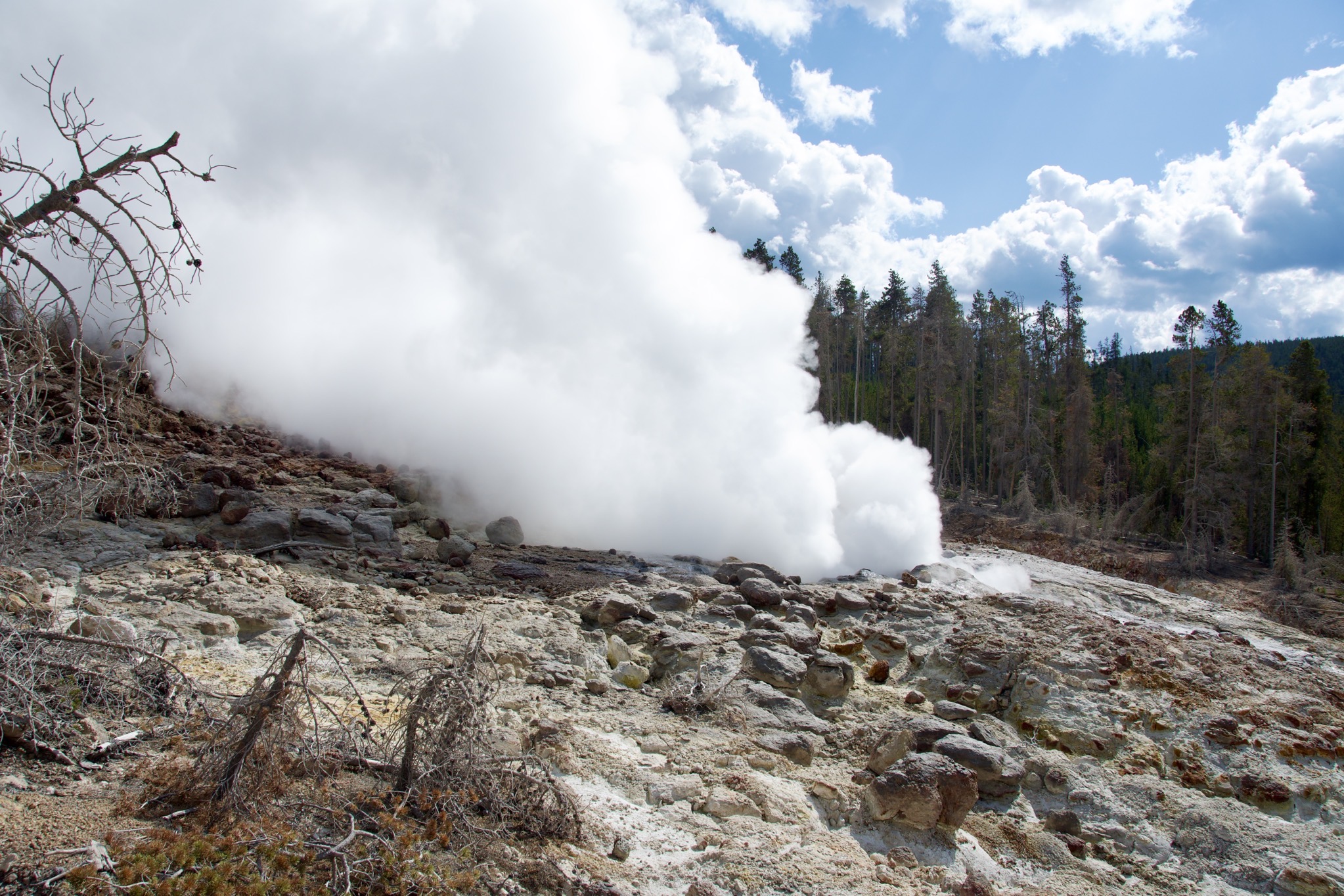 Yellowstone
