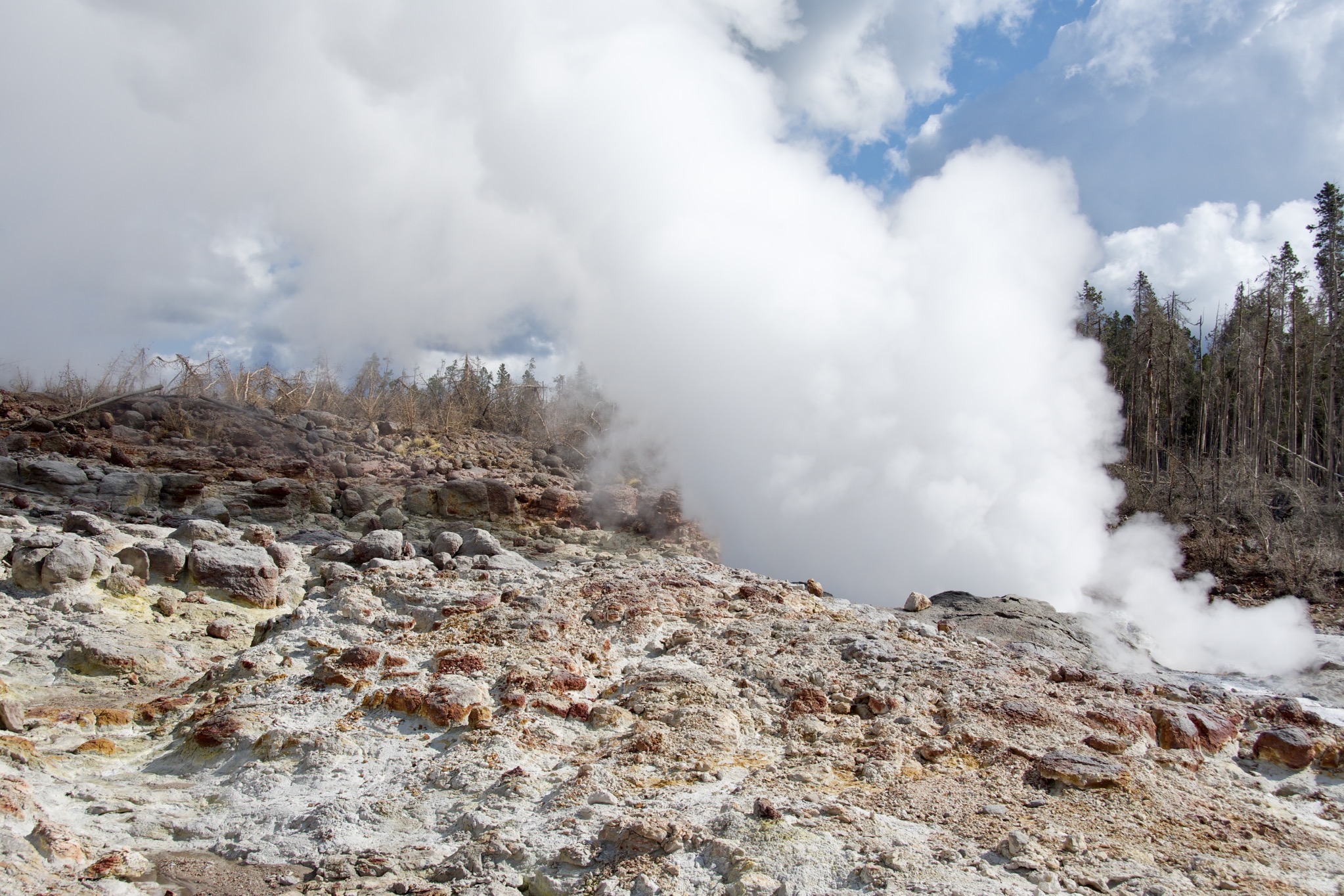 Yellowstone