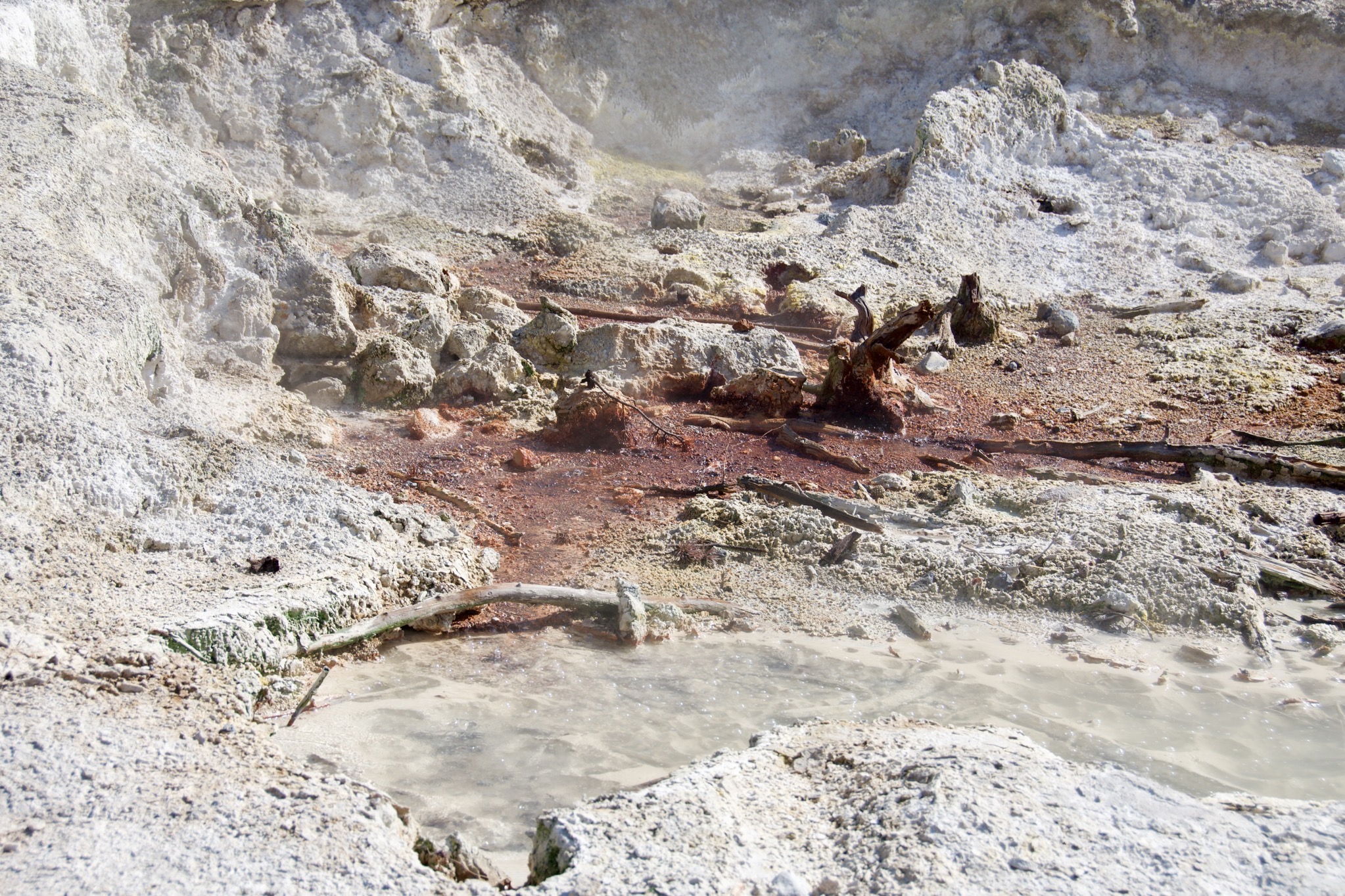 Yellowstone