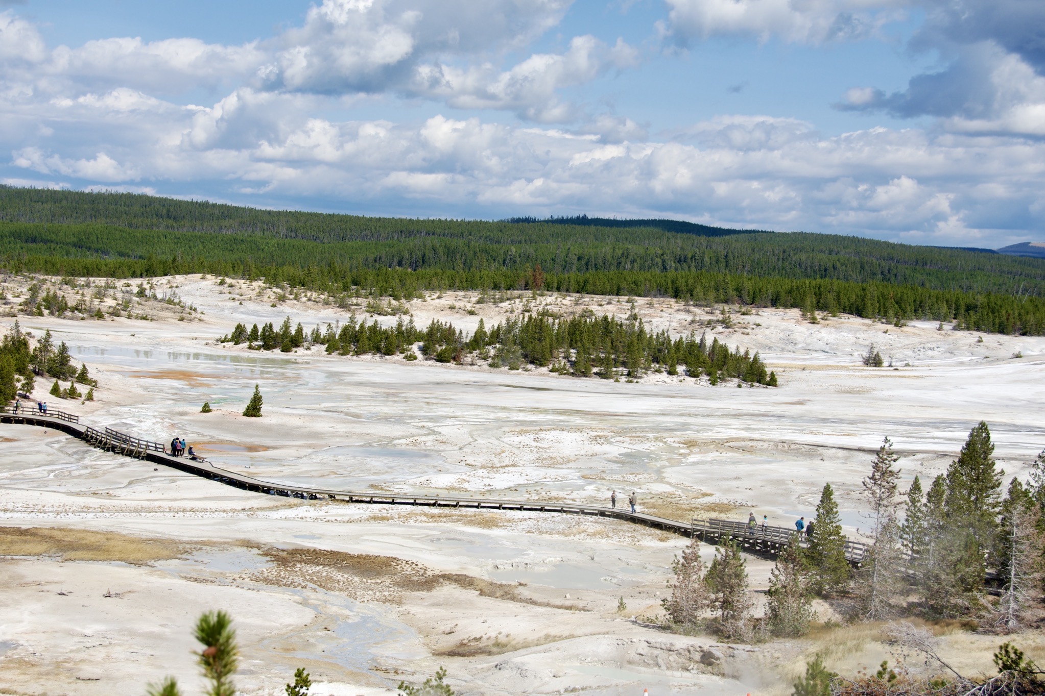 Yellowstone