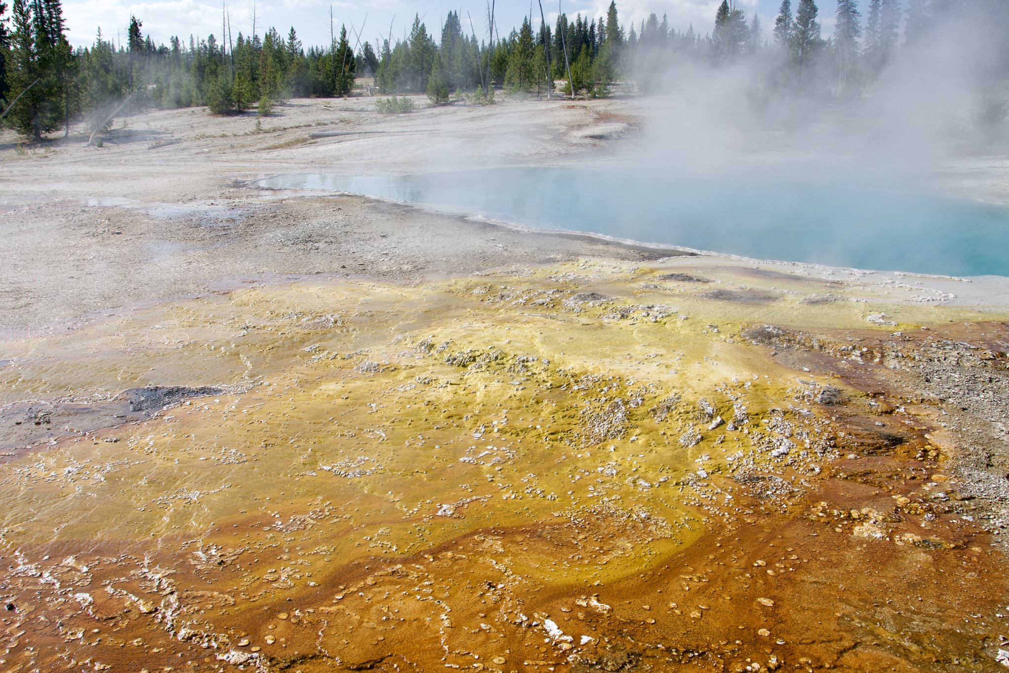 Yellowstone
