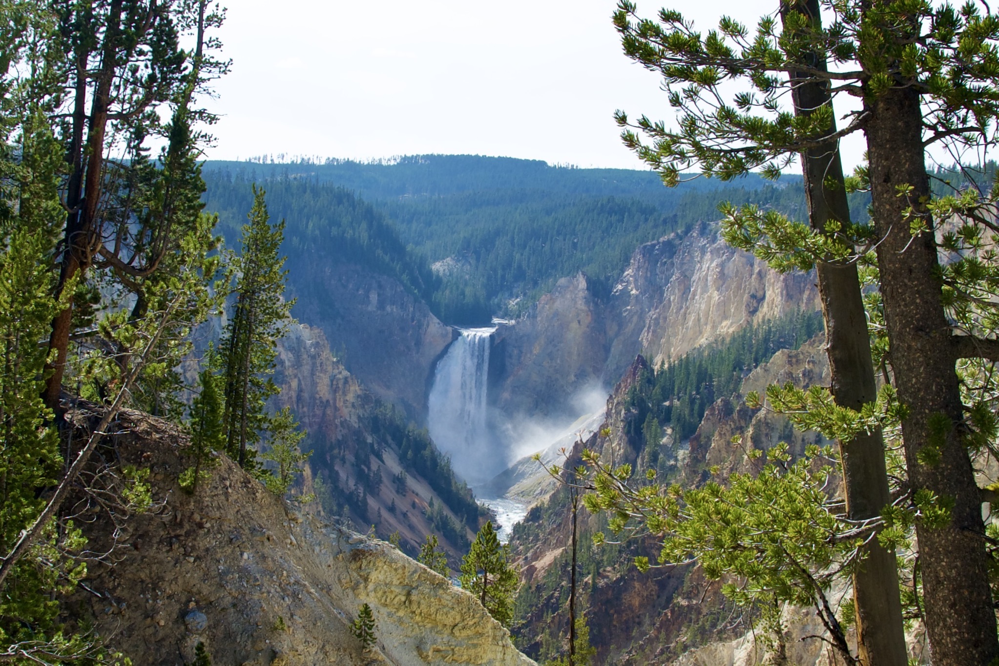 Yellowstone