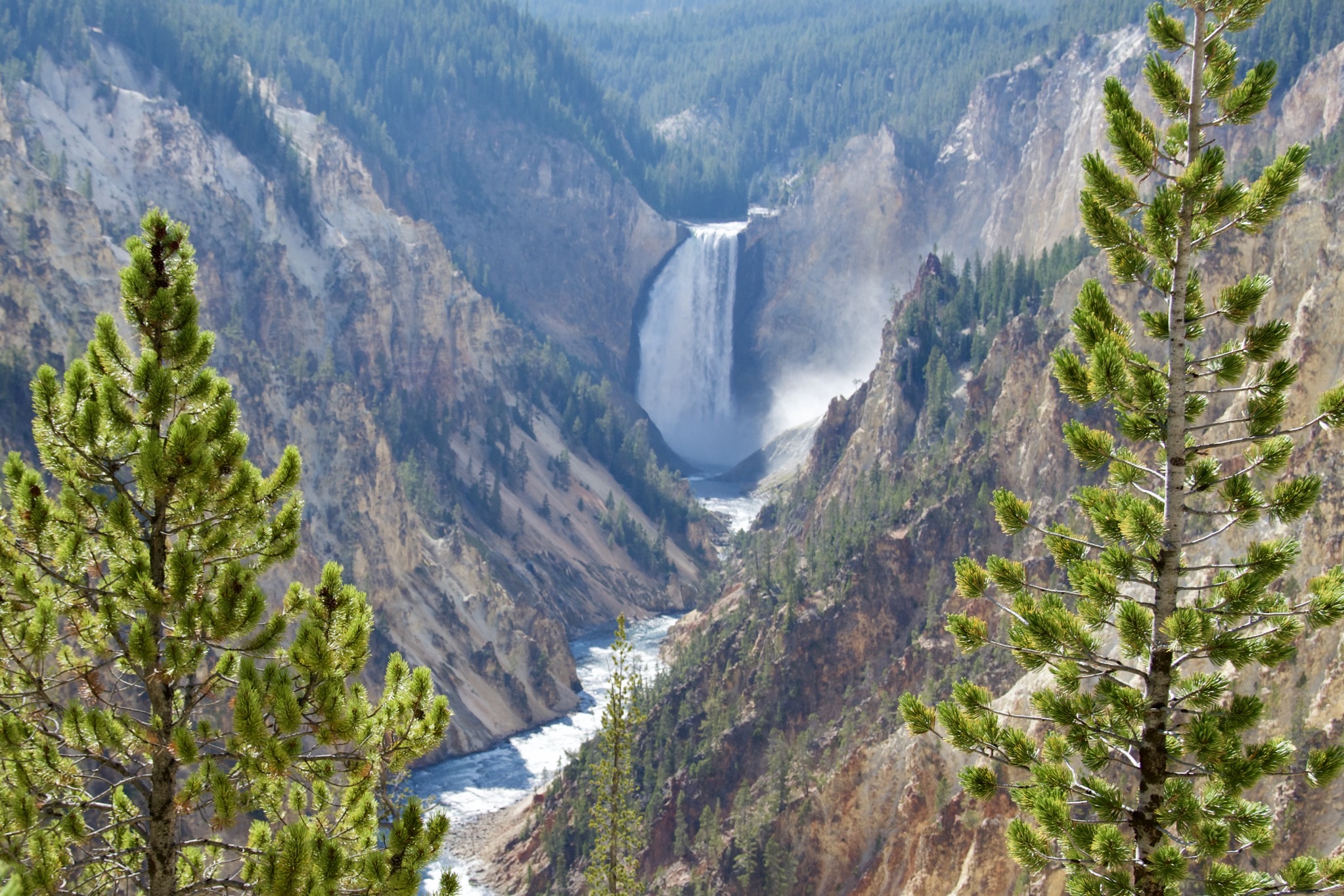 Yellowstone