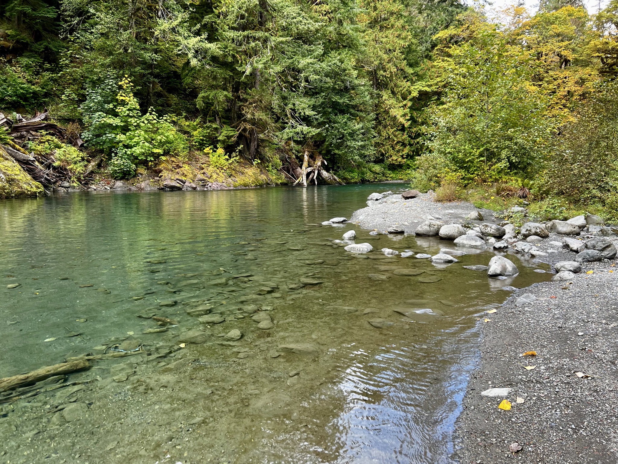 Olympic National Park