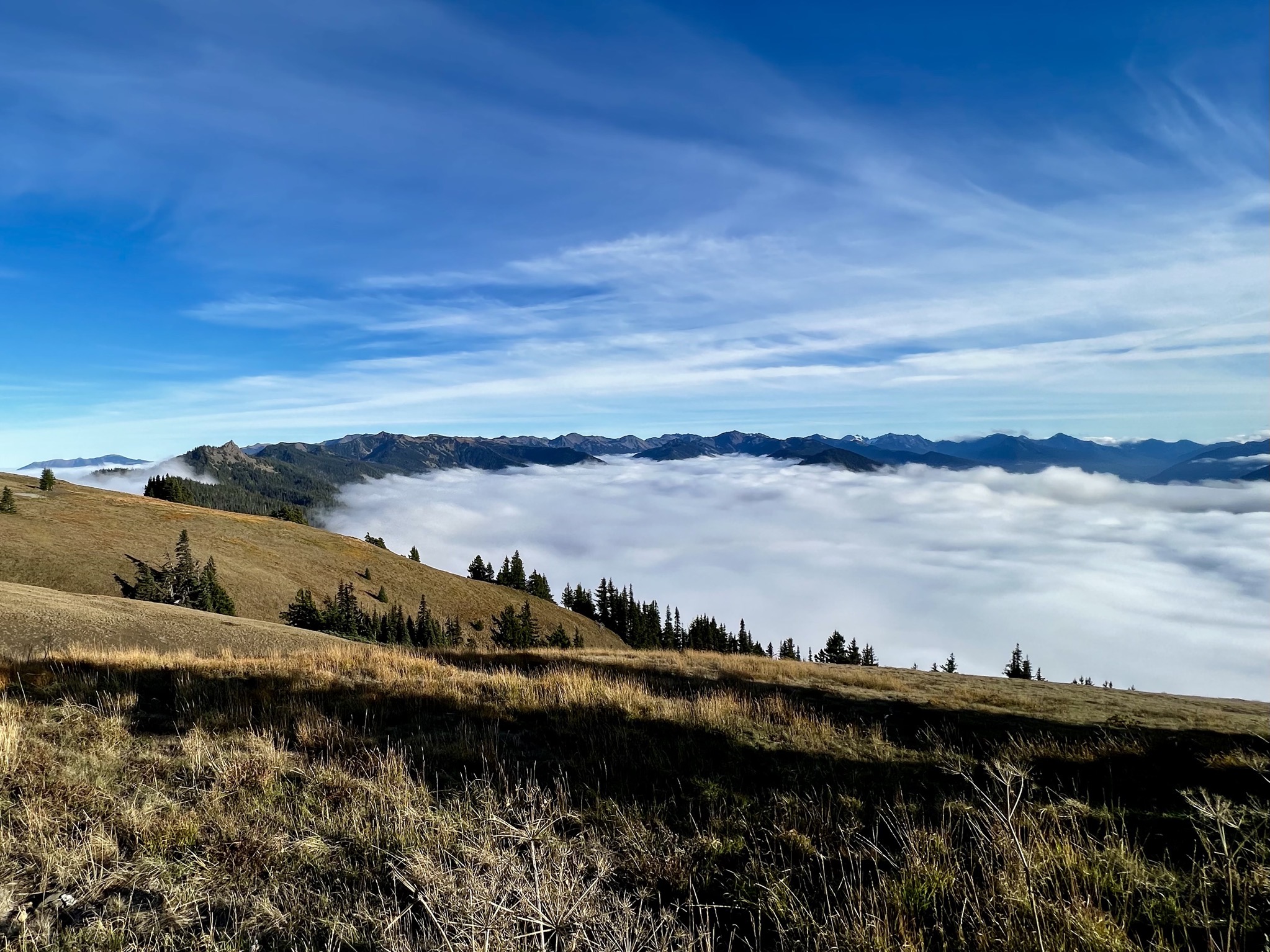 Olympic National Park