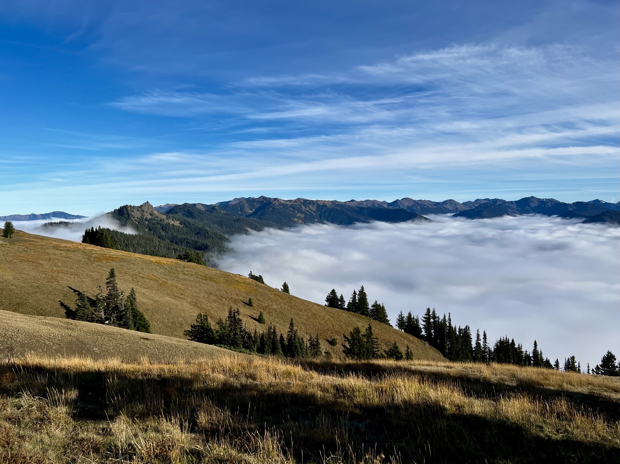 Olympic National Park