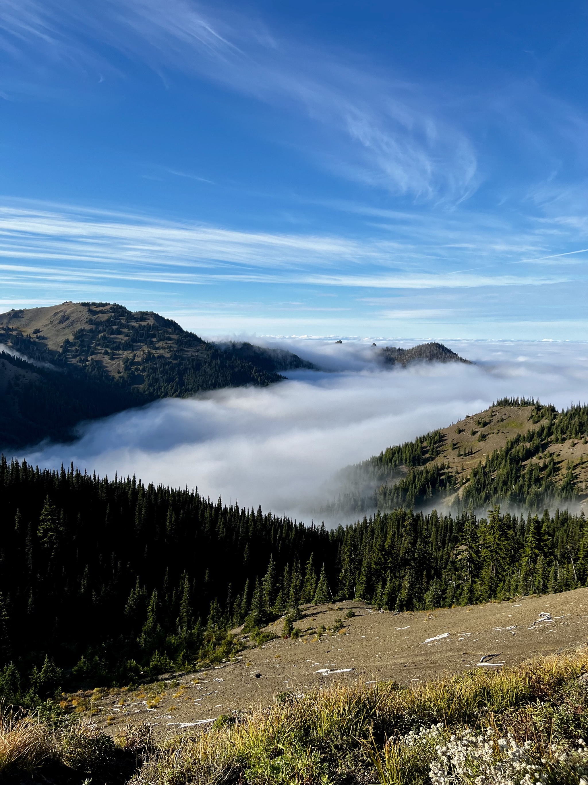 Olympic National Park