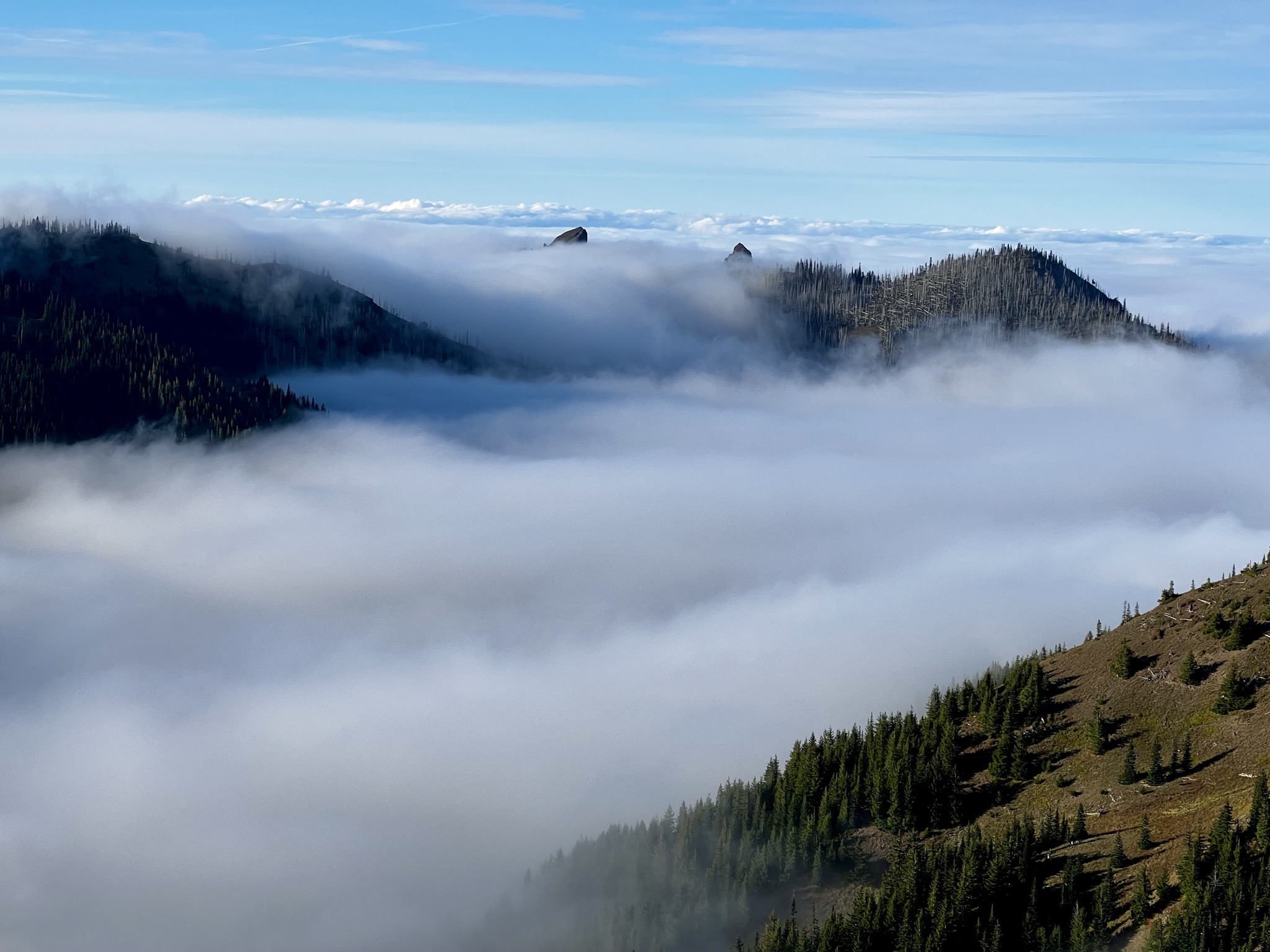 Olympic National Park