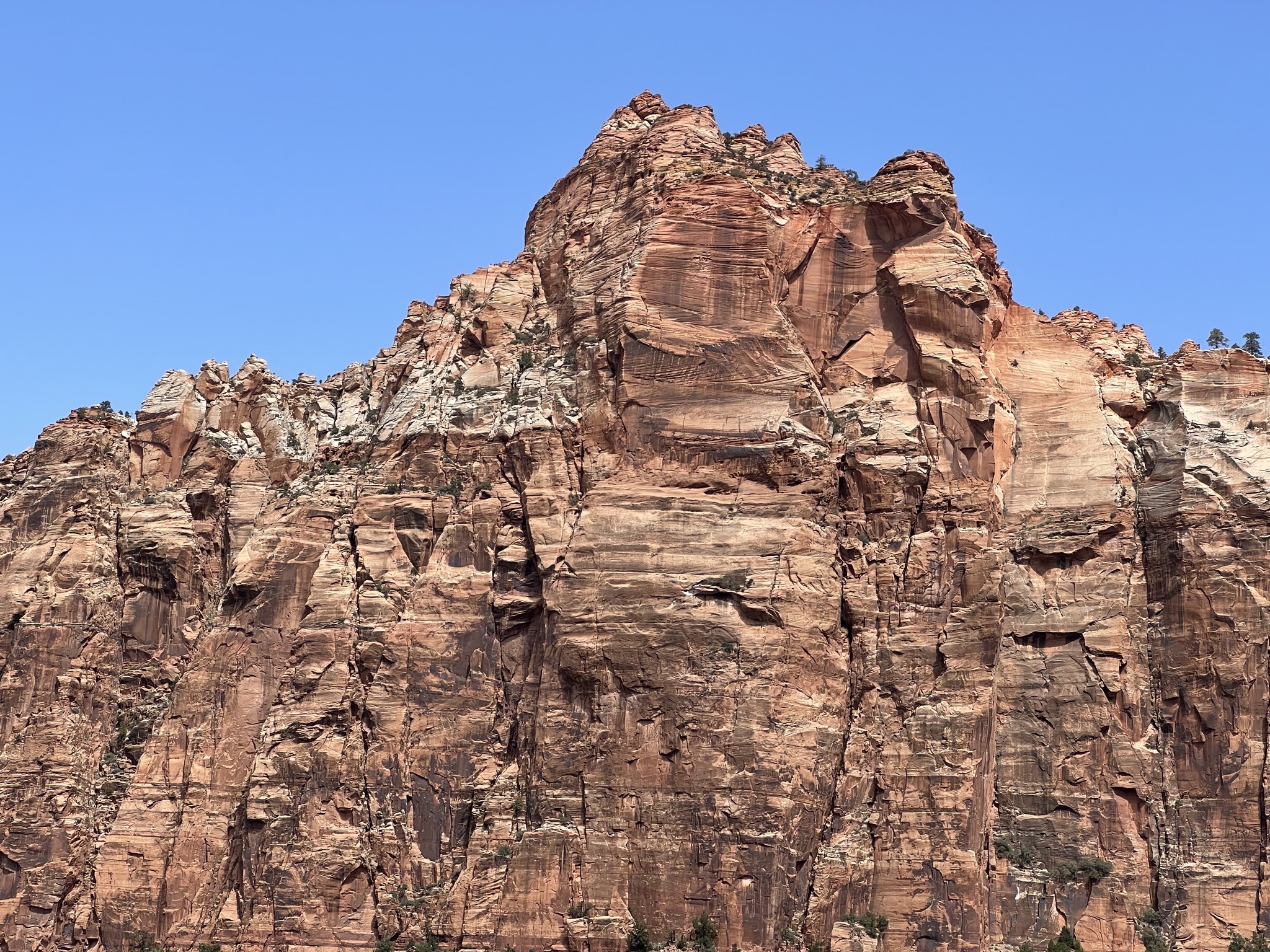 Rocks