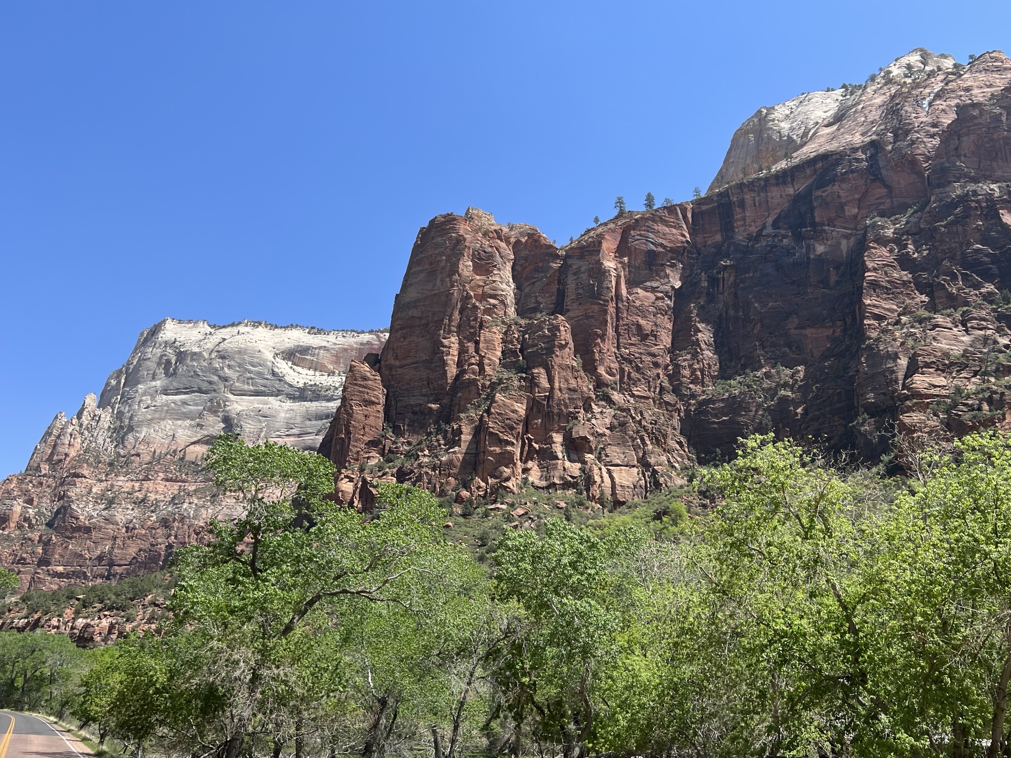 Rocks