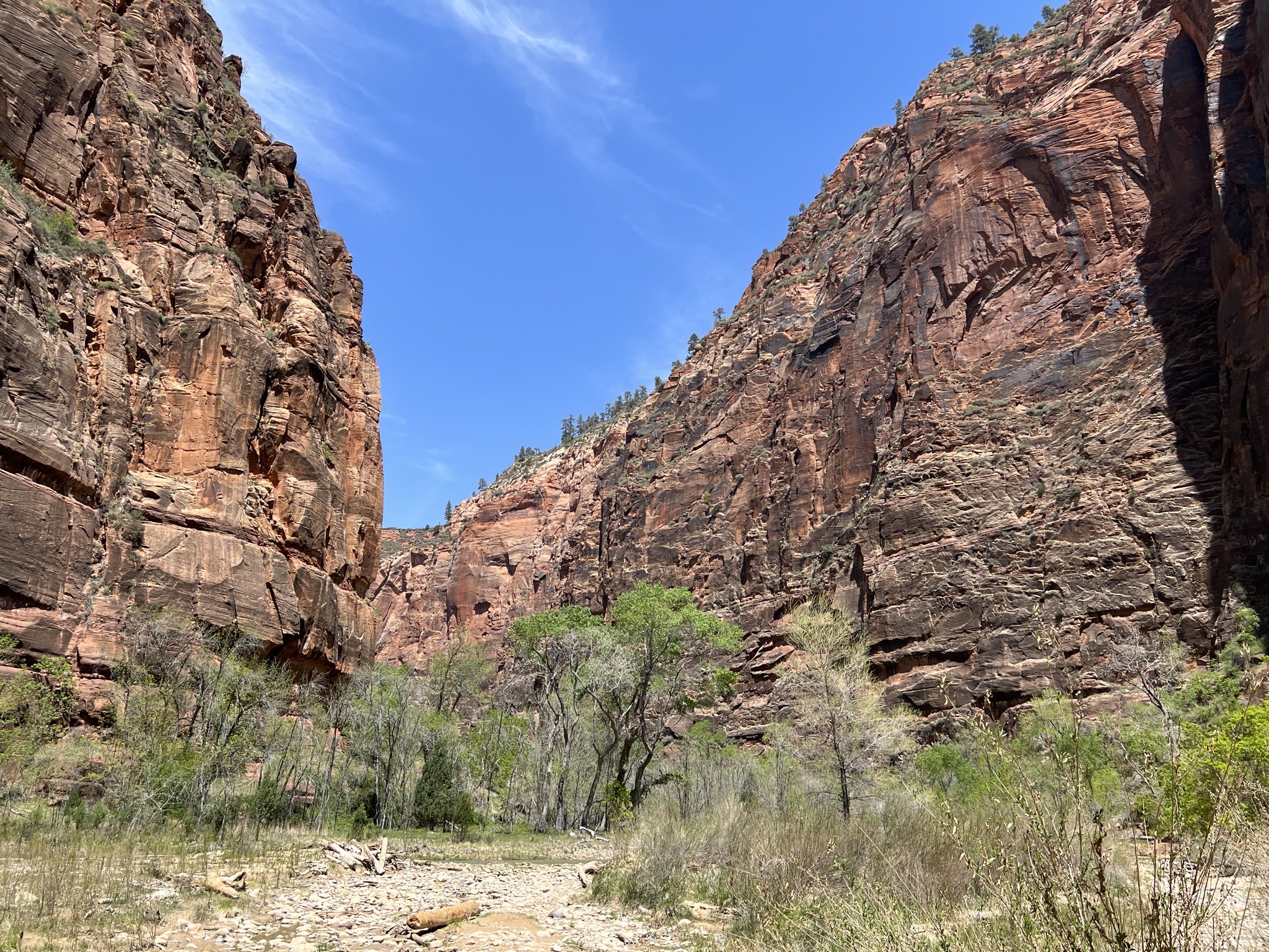 Rocks