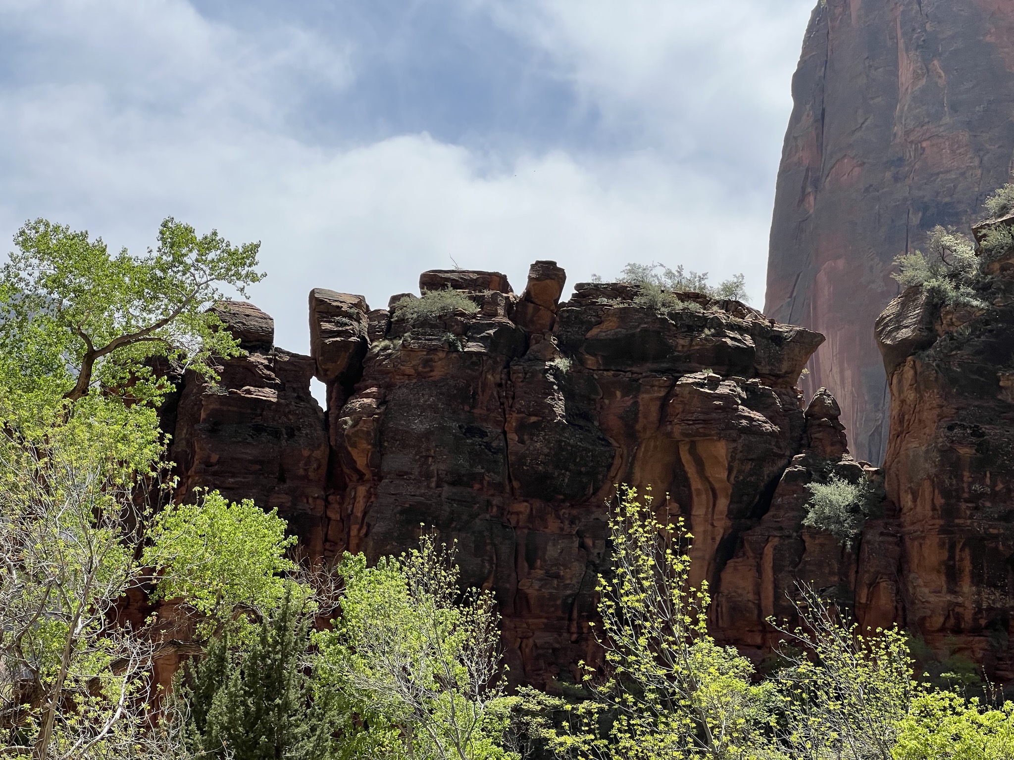 Rocks