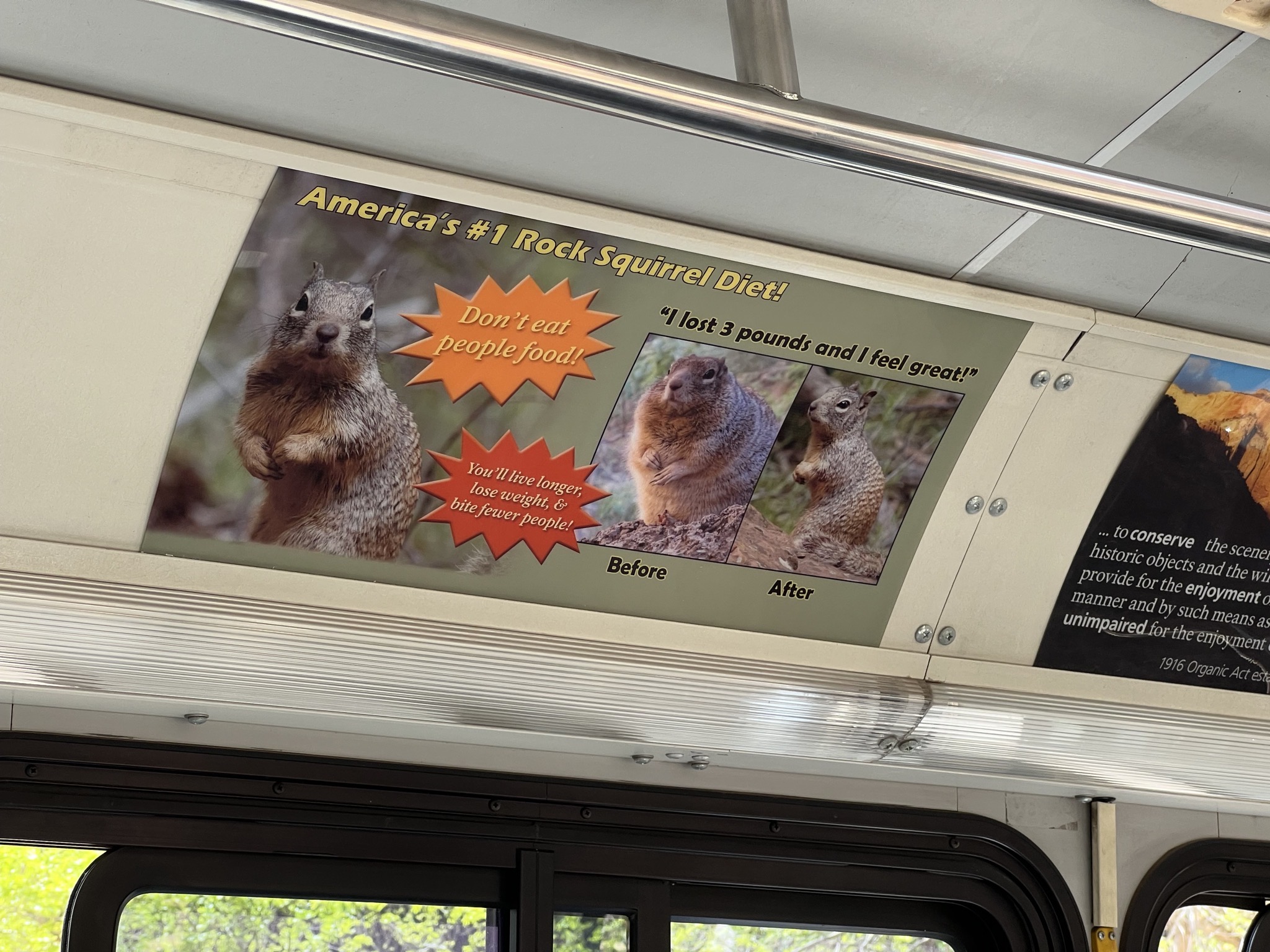 On the shuttle bus