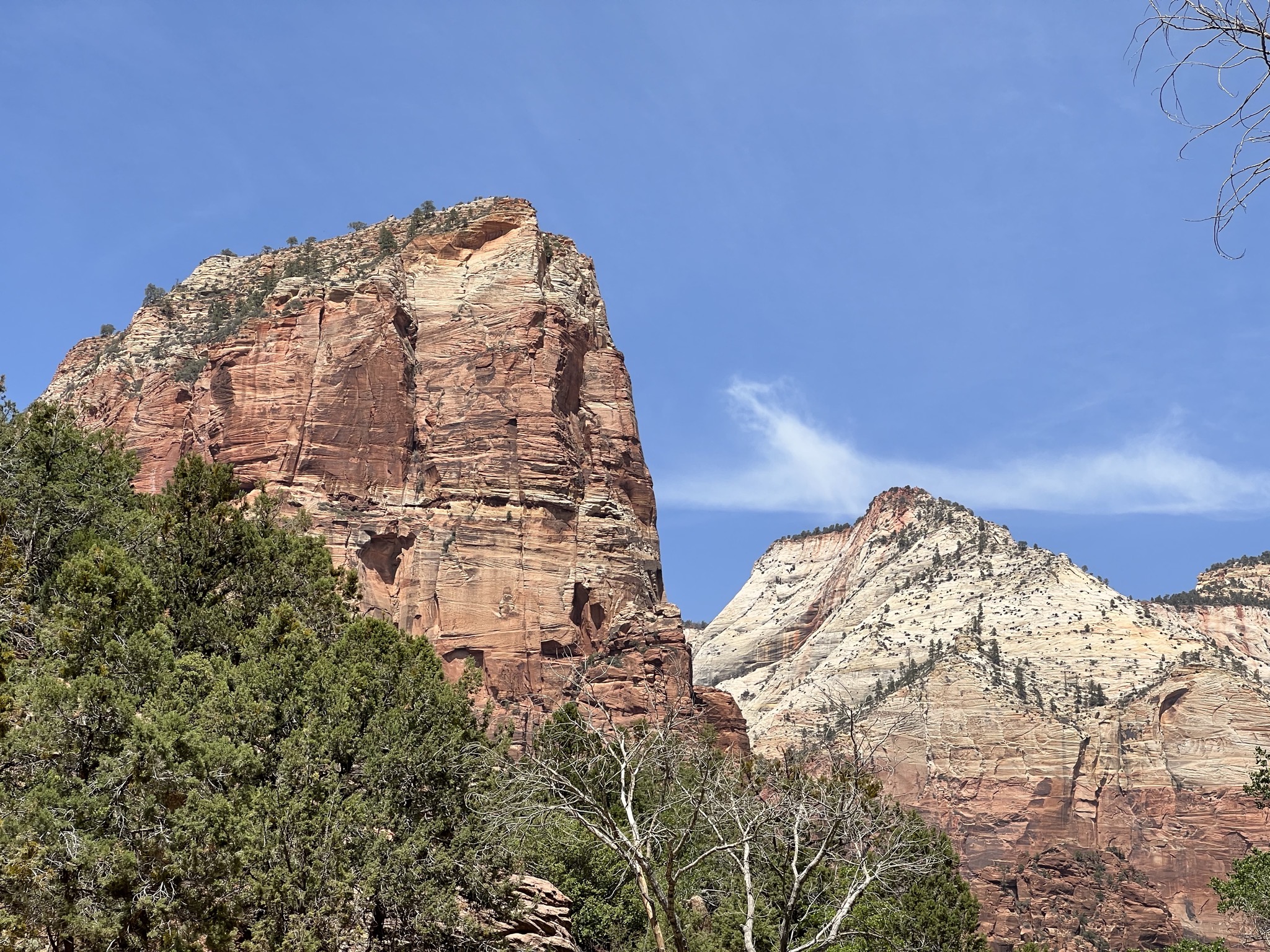 Rocks