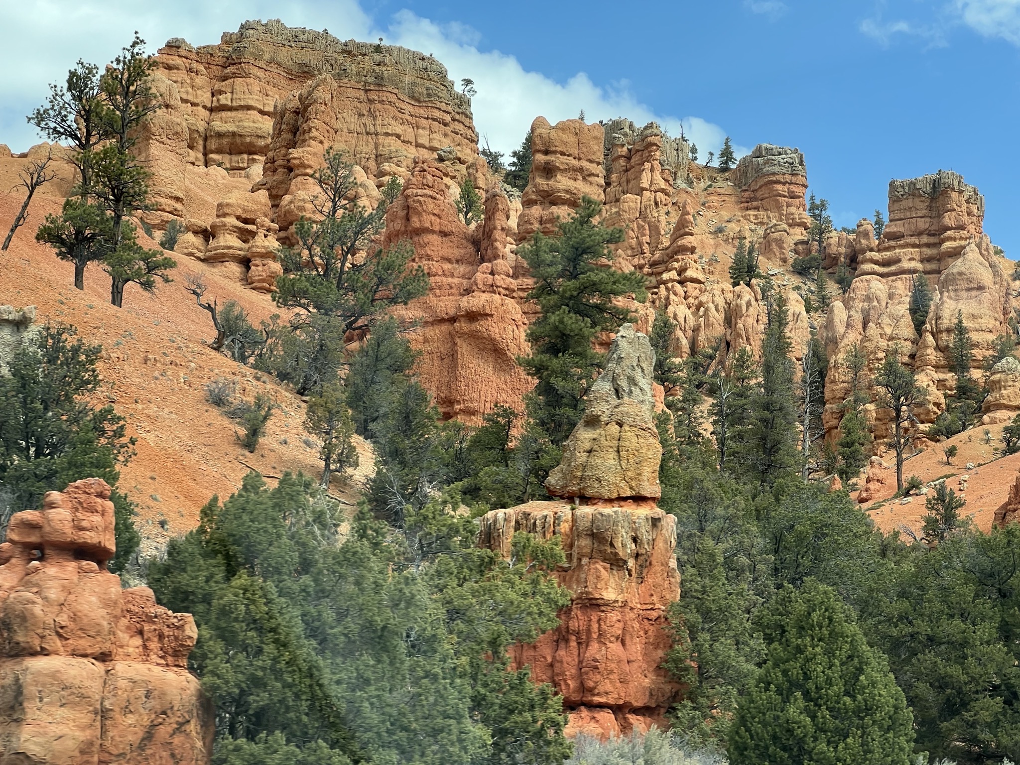 Red Canyon