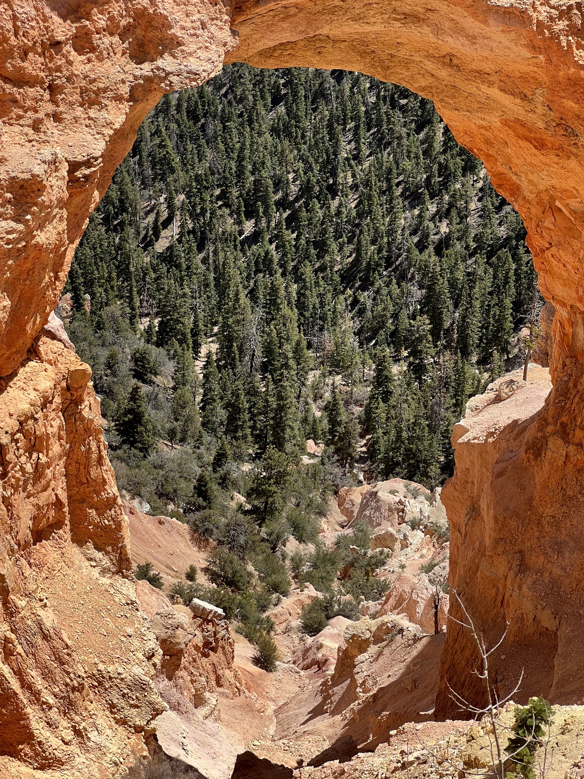 Bryce Canyon