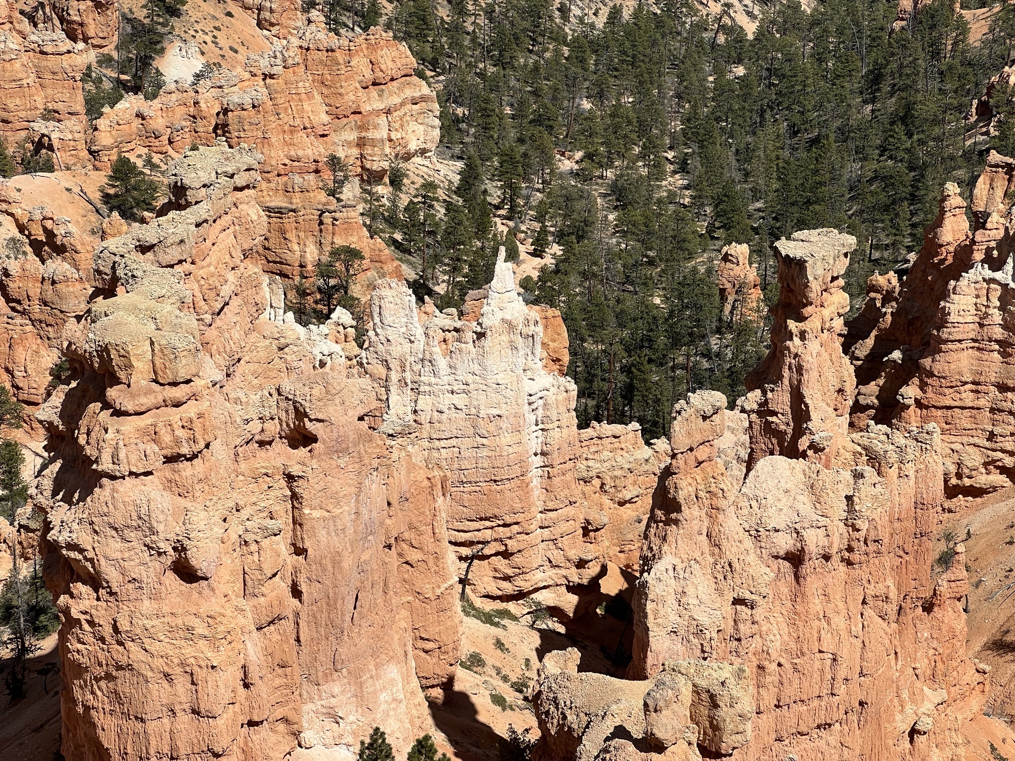 Bryce Canyon