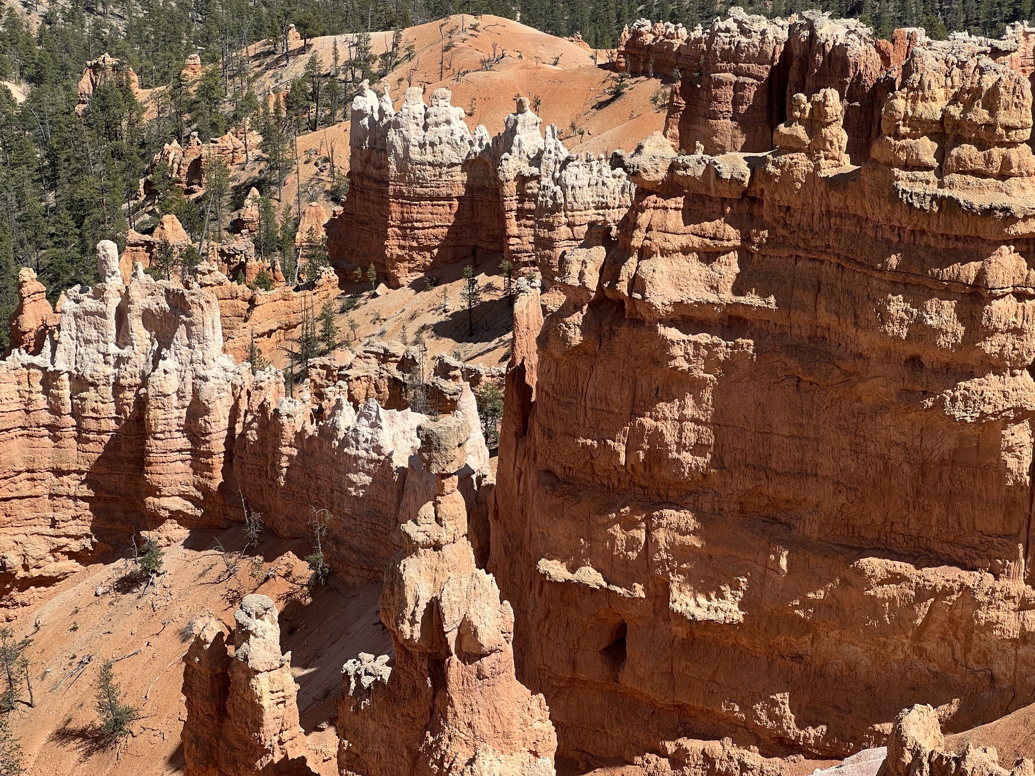 Bryce Canyon