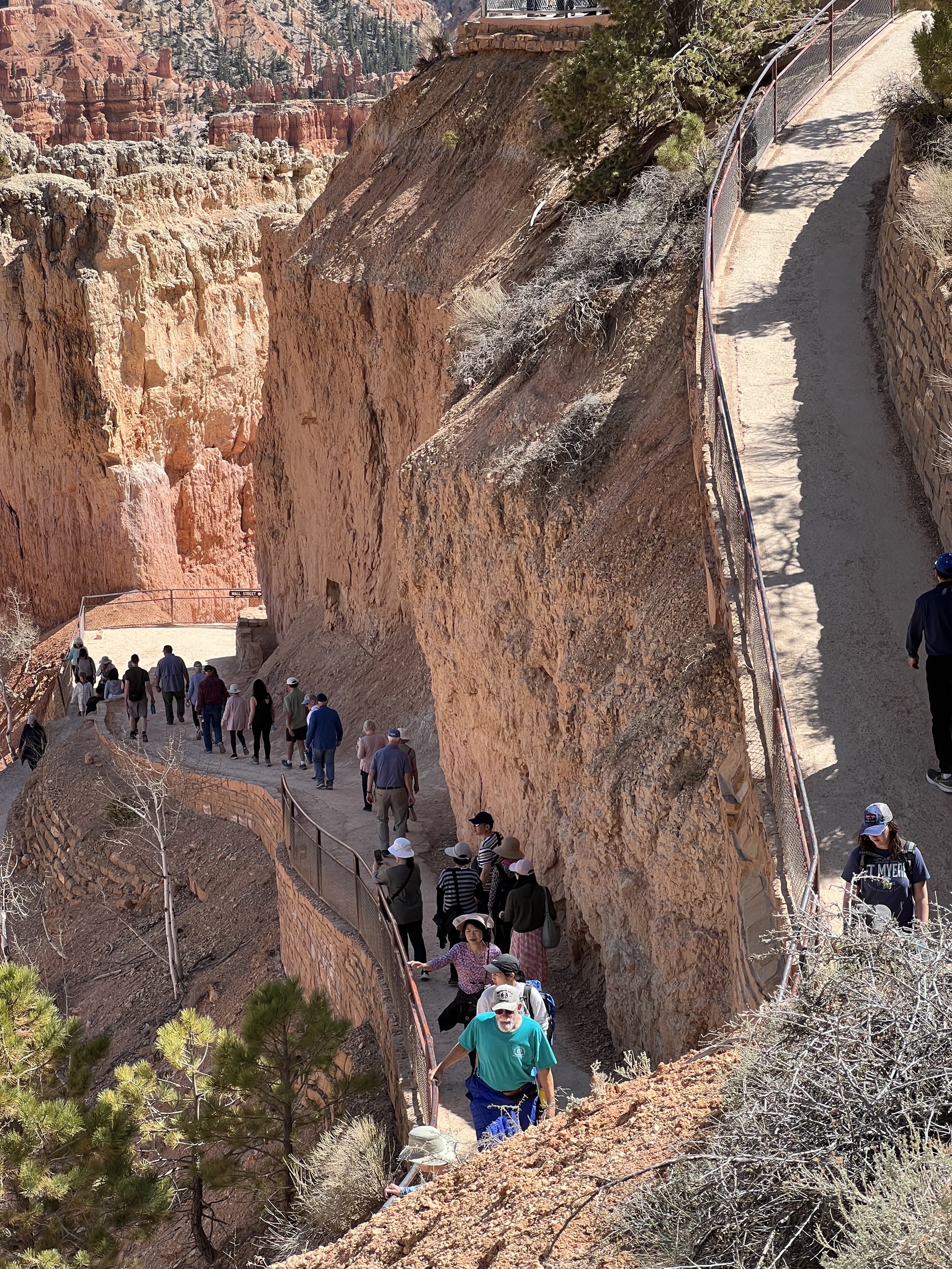 Trail into canyon