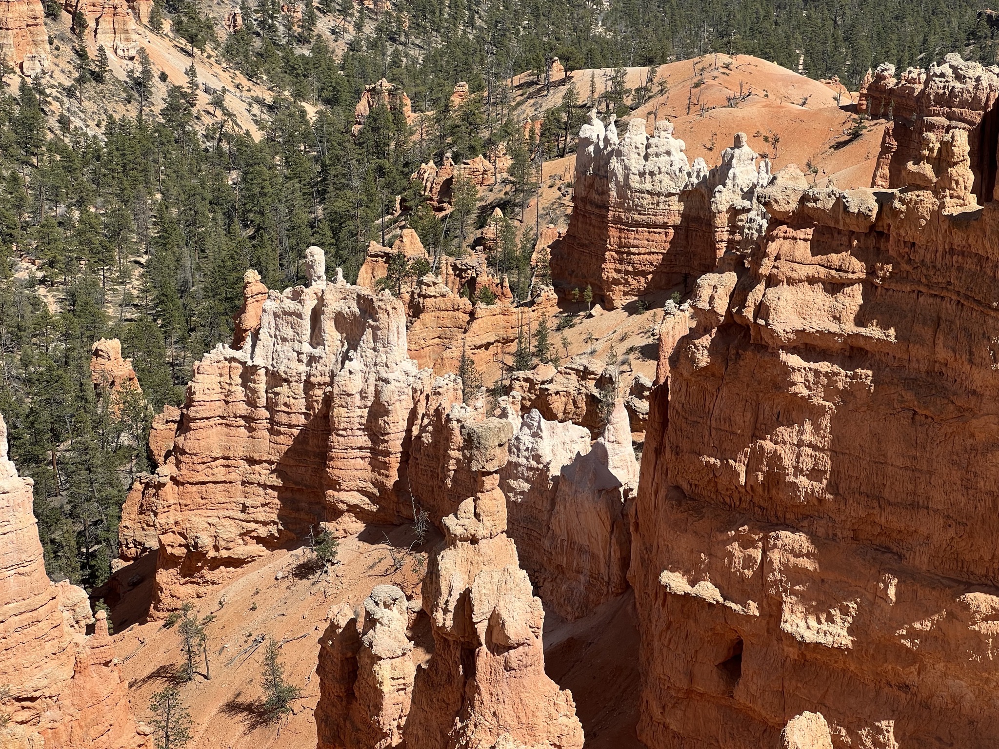 Bryce Canyon