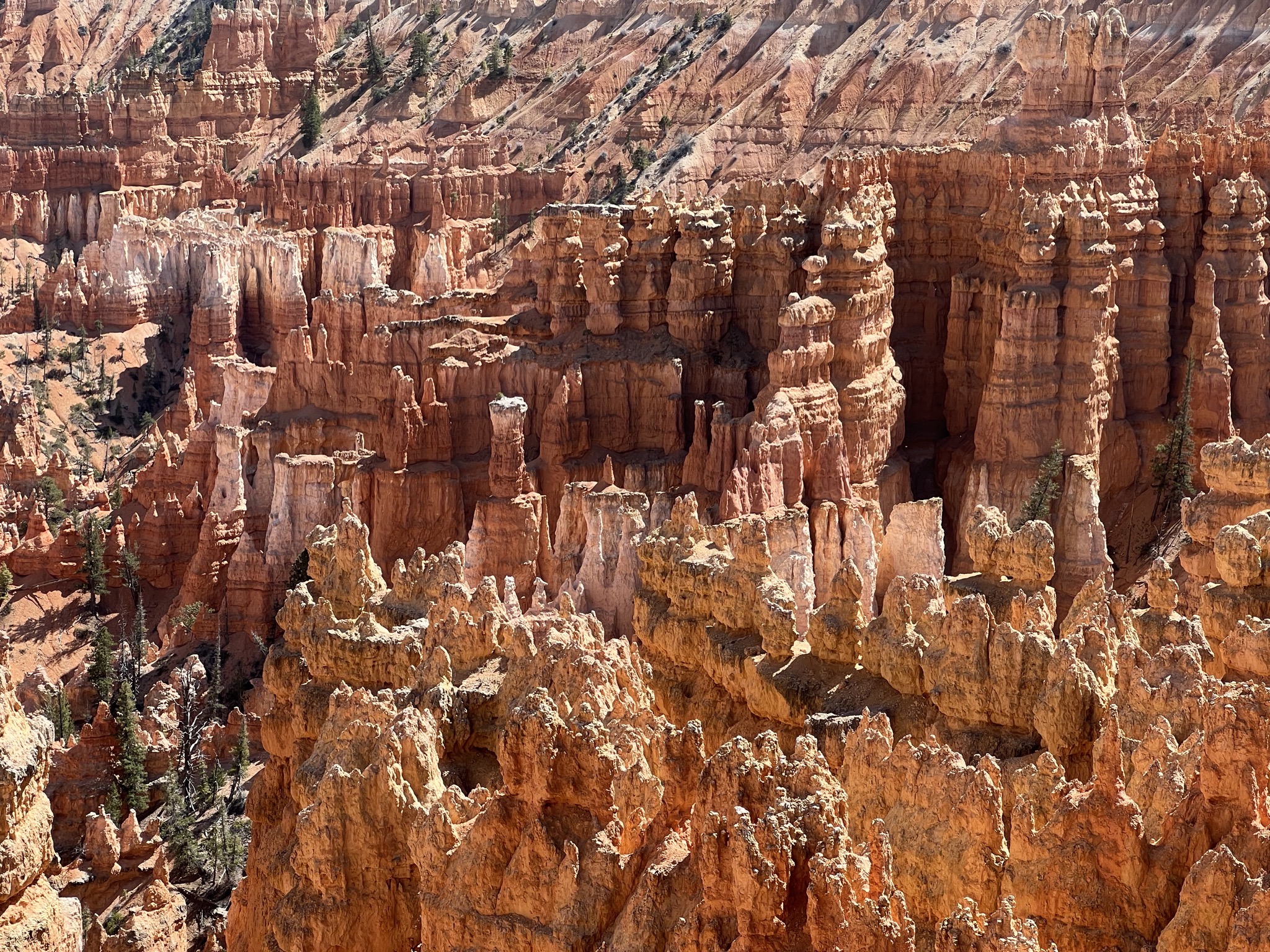Bryce Canyon