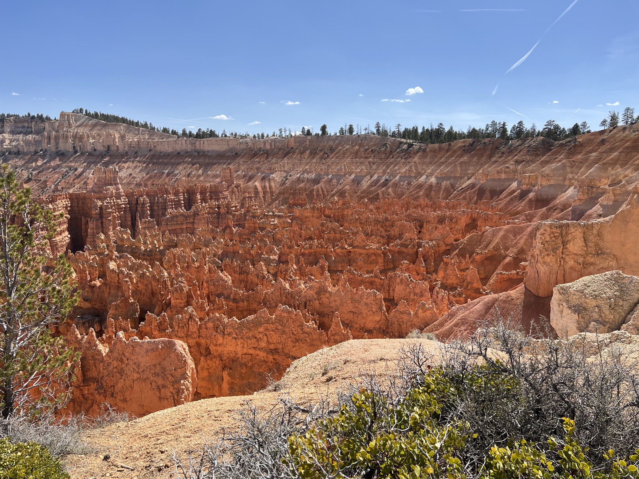 Bryce Canyon