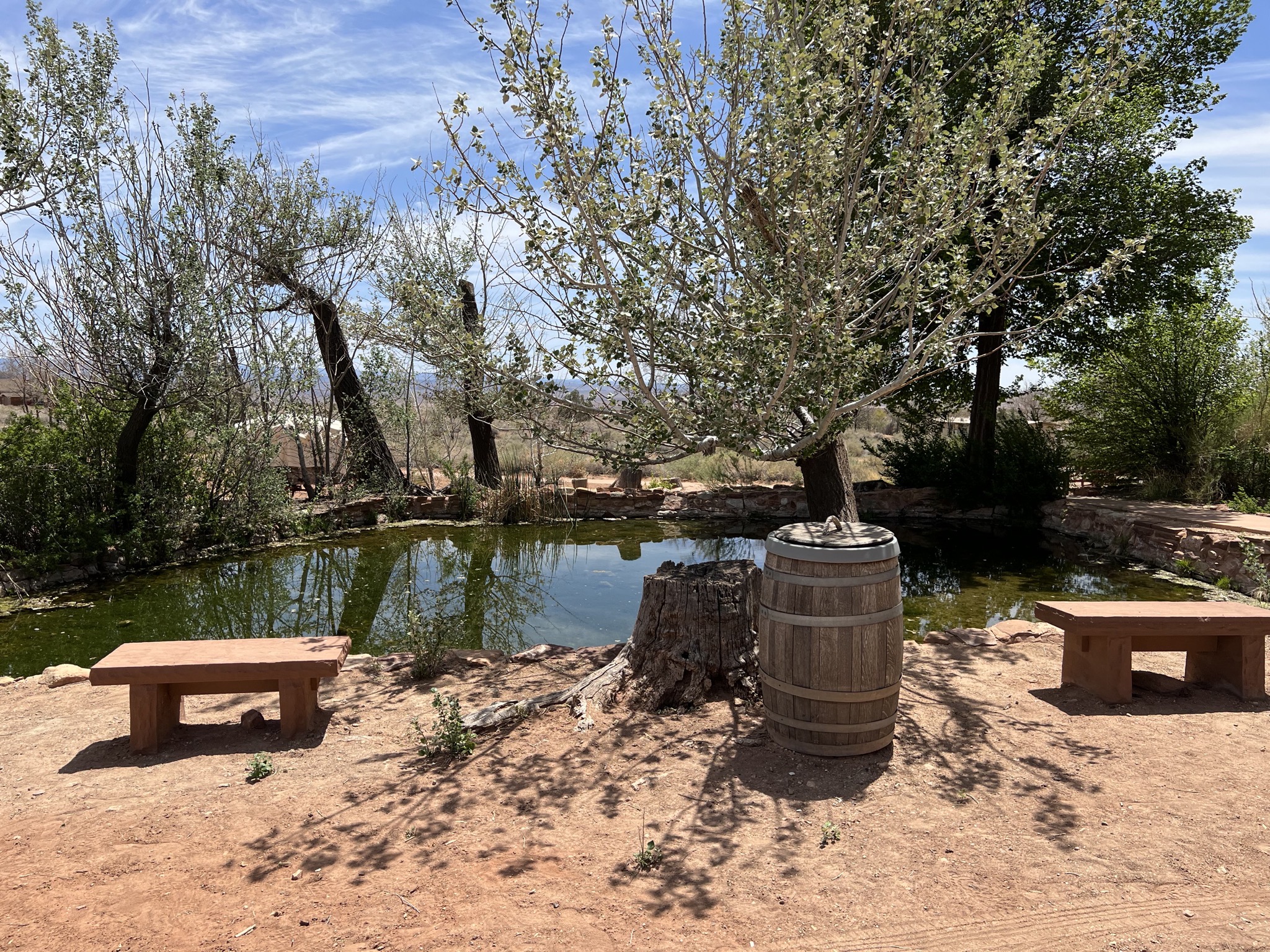 Pond