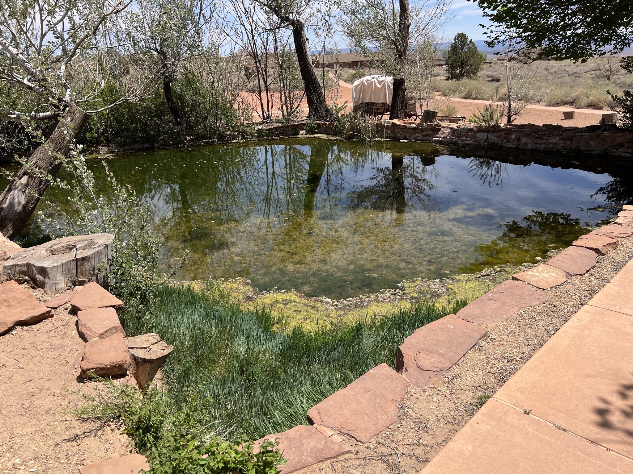Pond