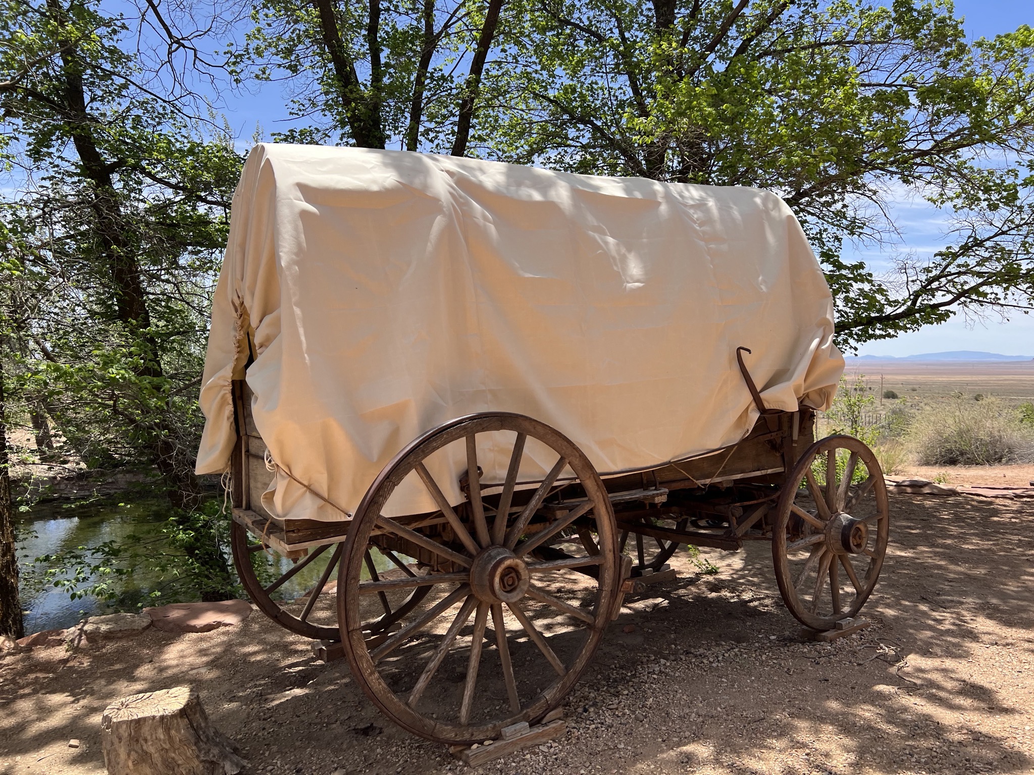 Wagon