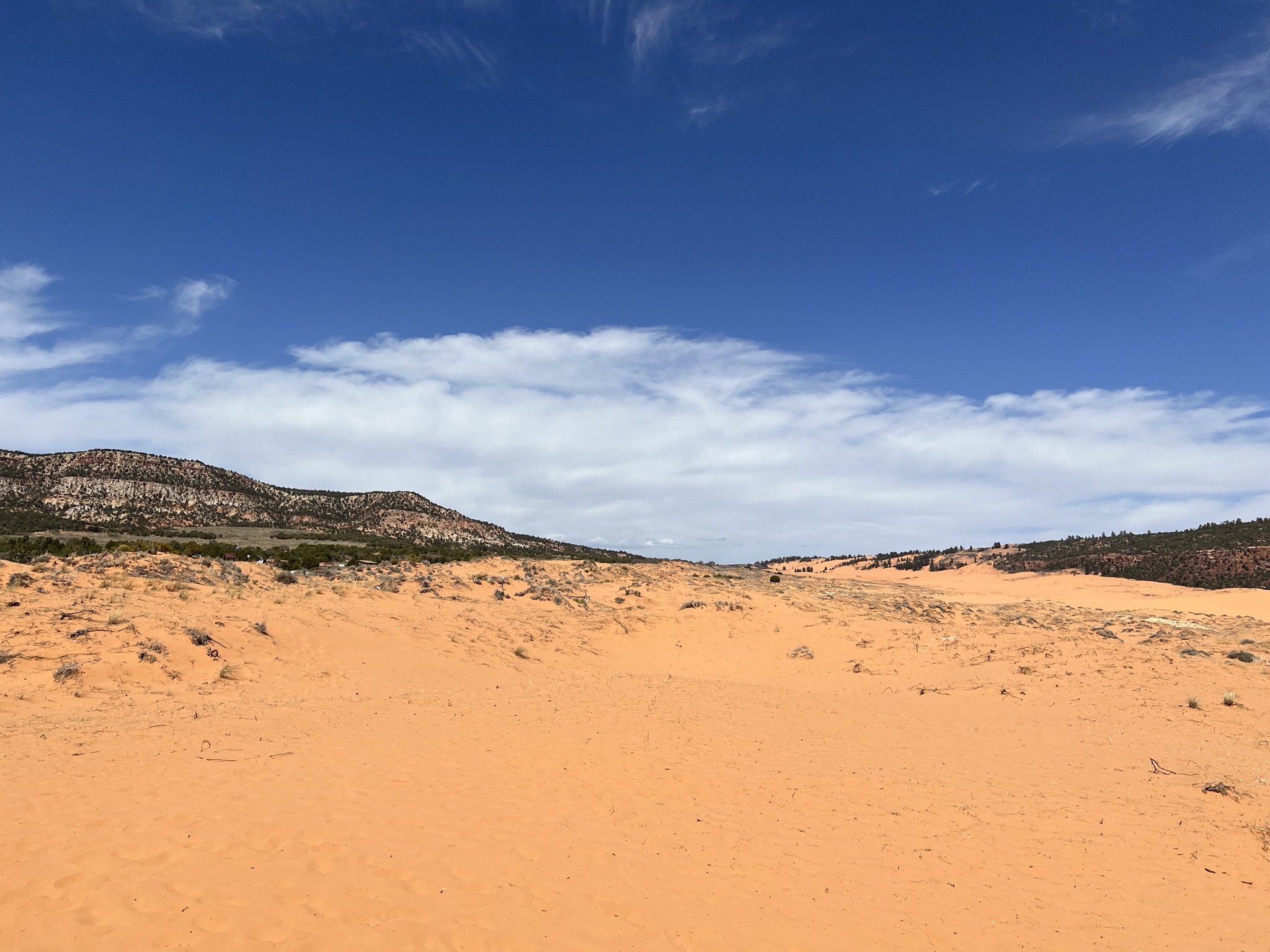 Coral Pink Sand Dunes