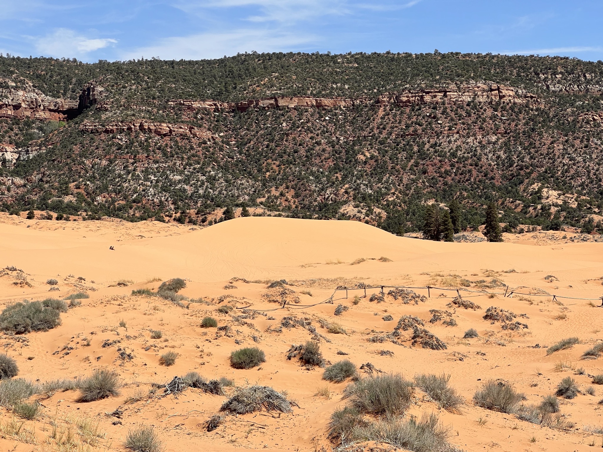 Coral Pink Sand Dunes