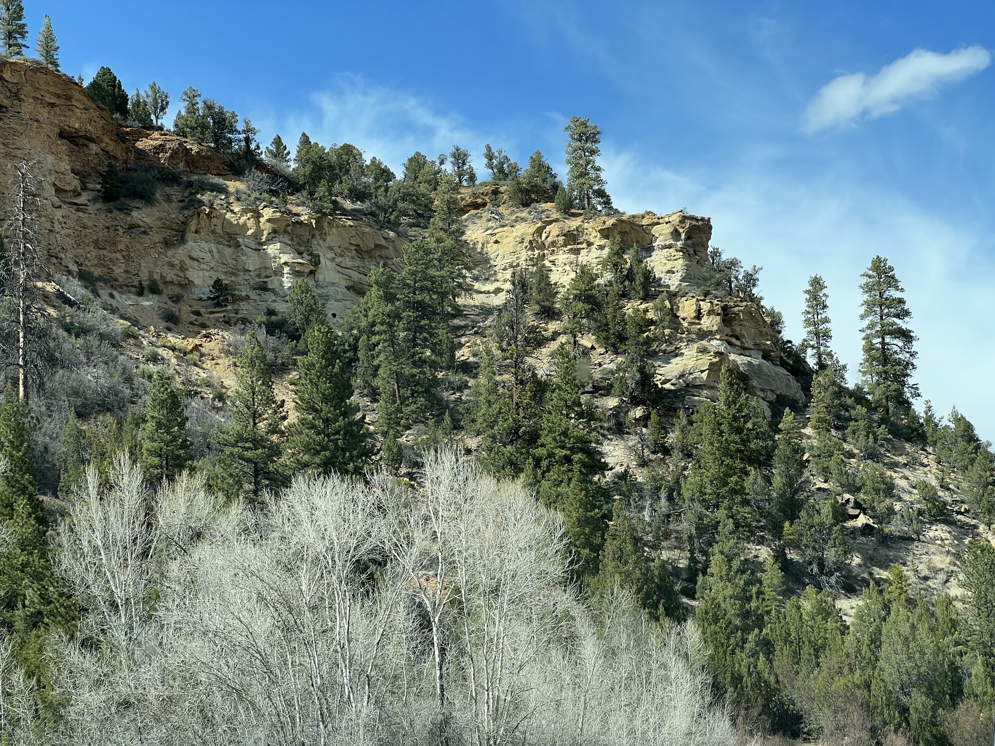 Interesting rocks
