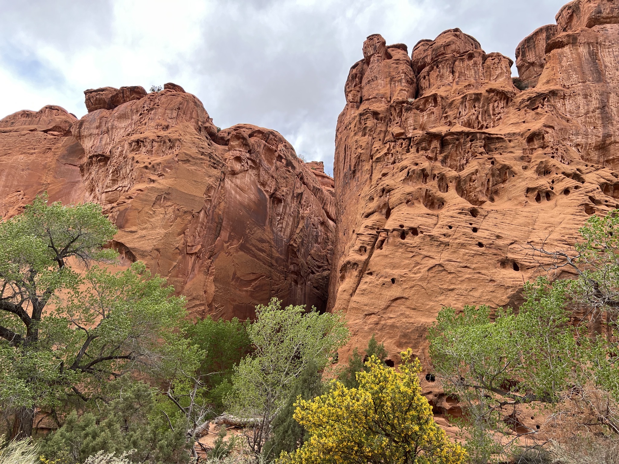 Singing canyon