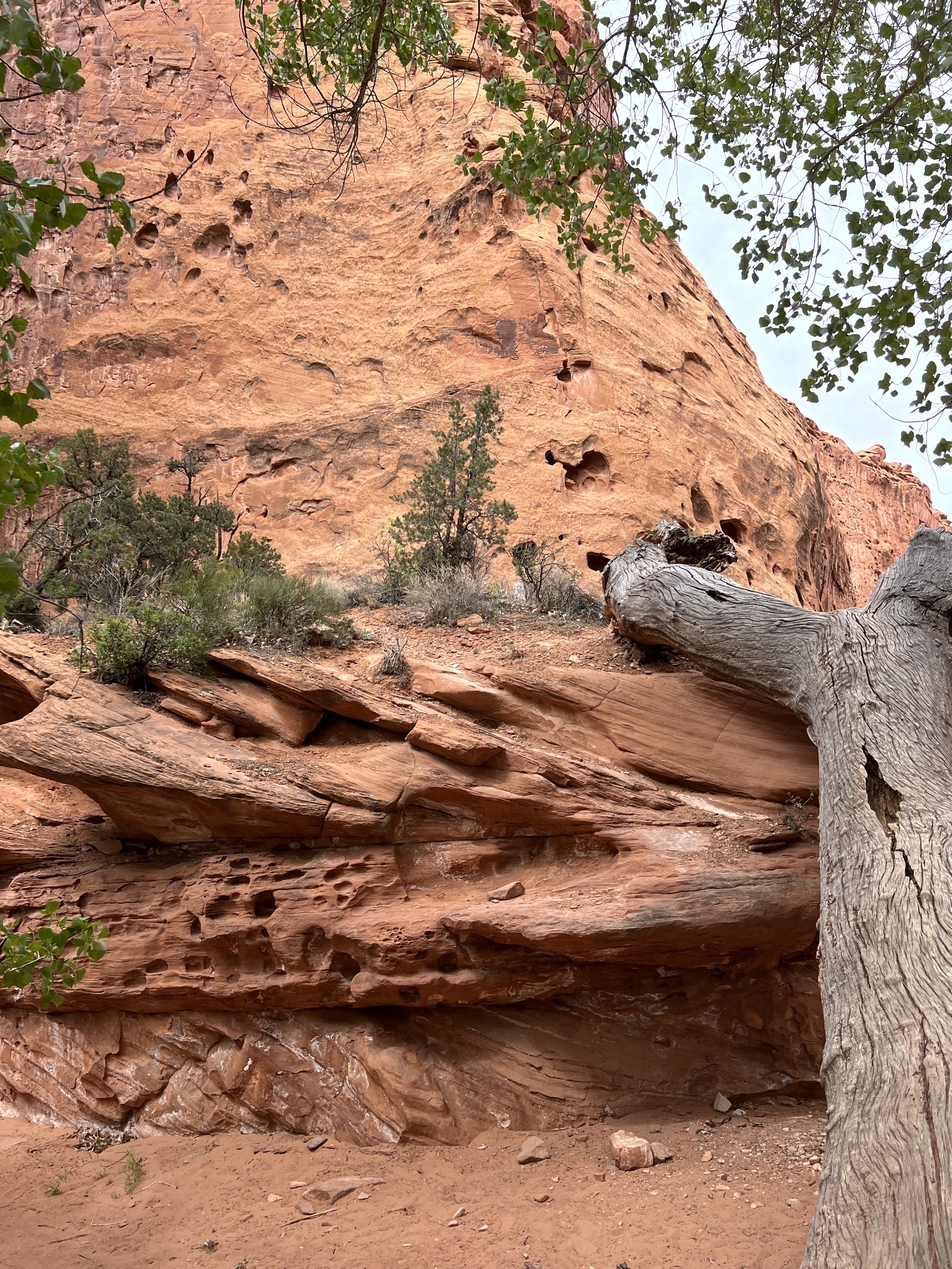 Singing canyon