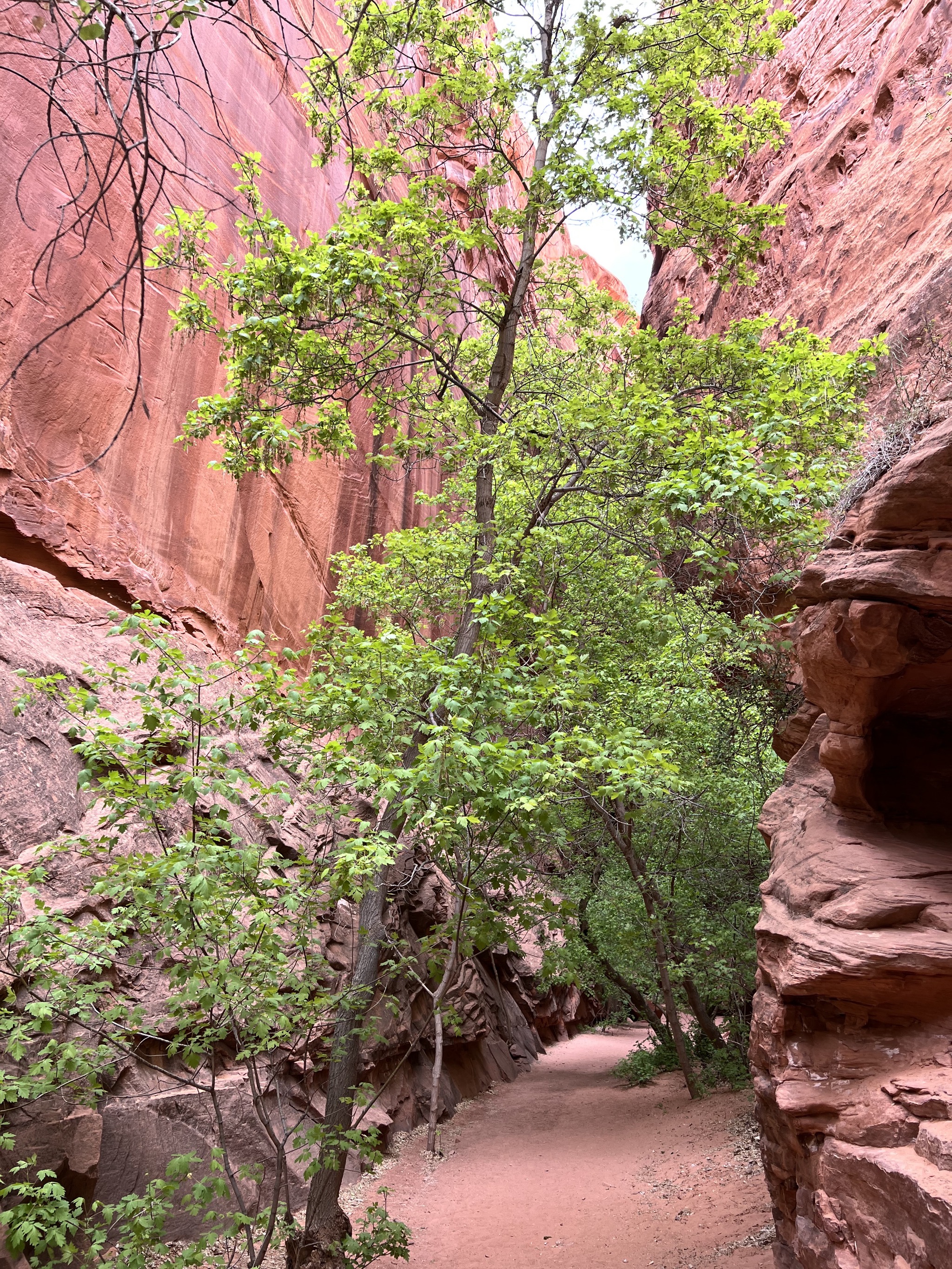 Singing canyon