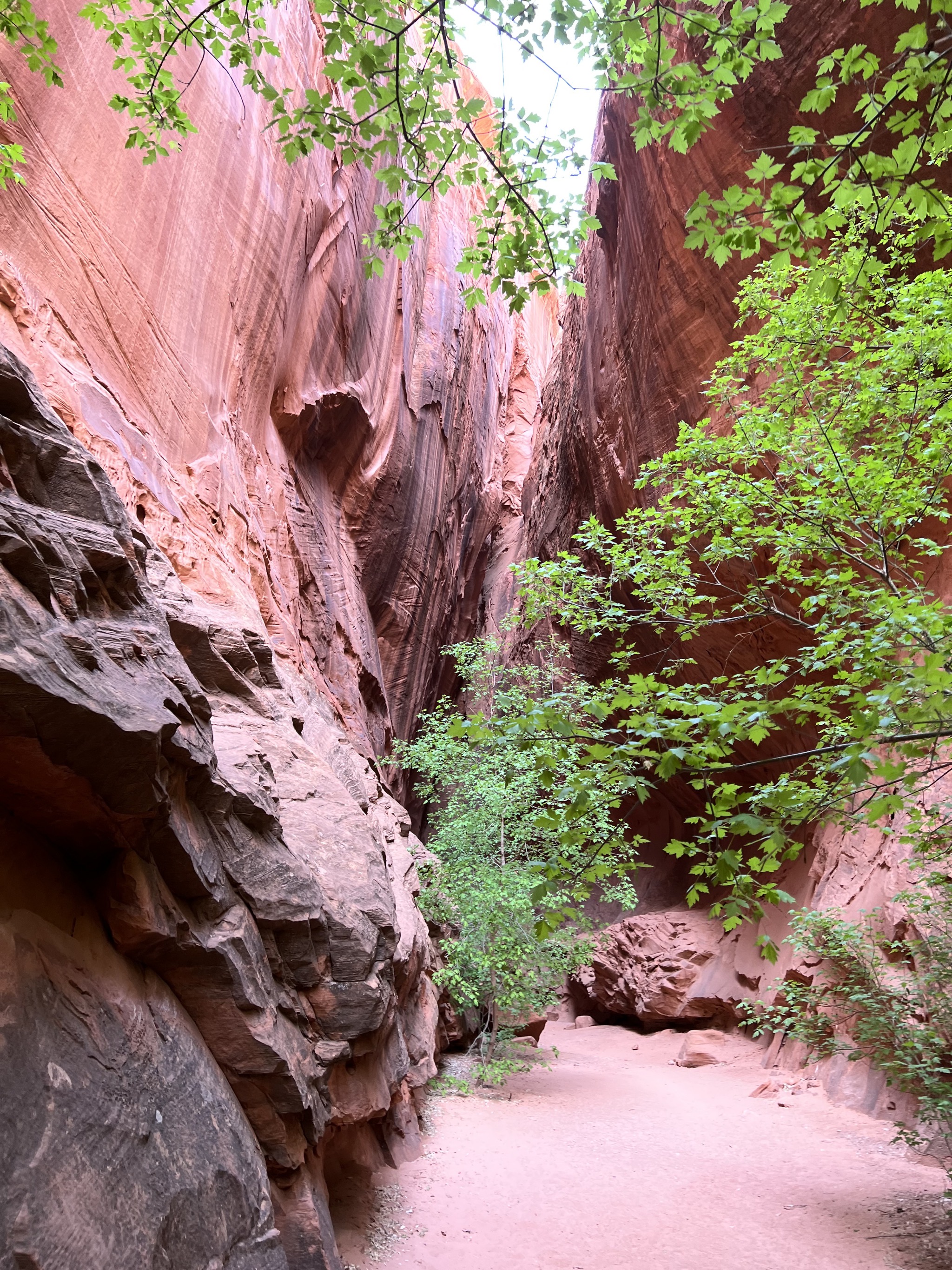 Singing canyon