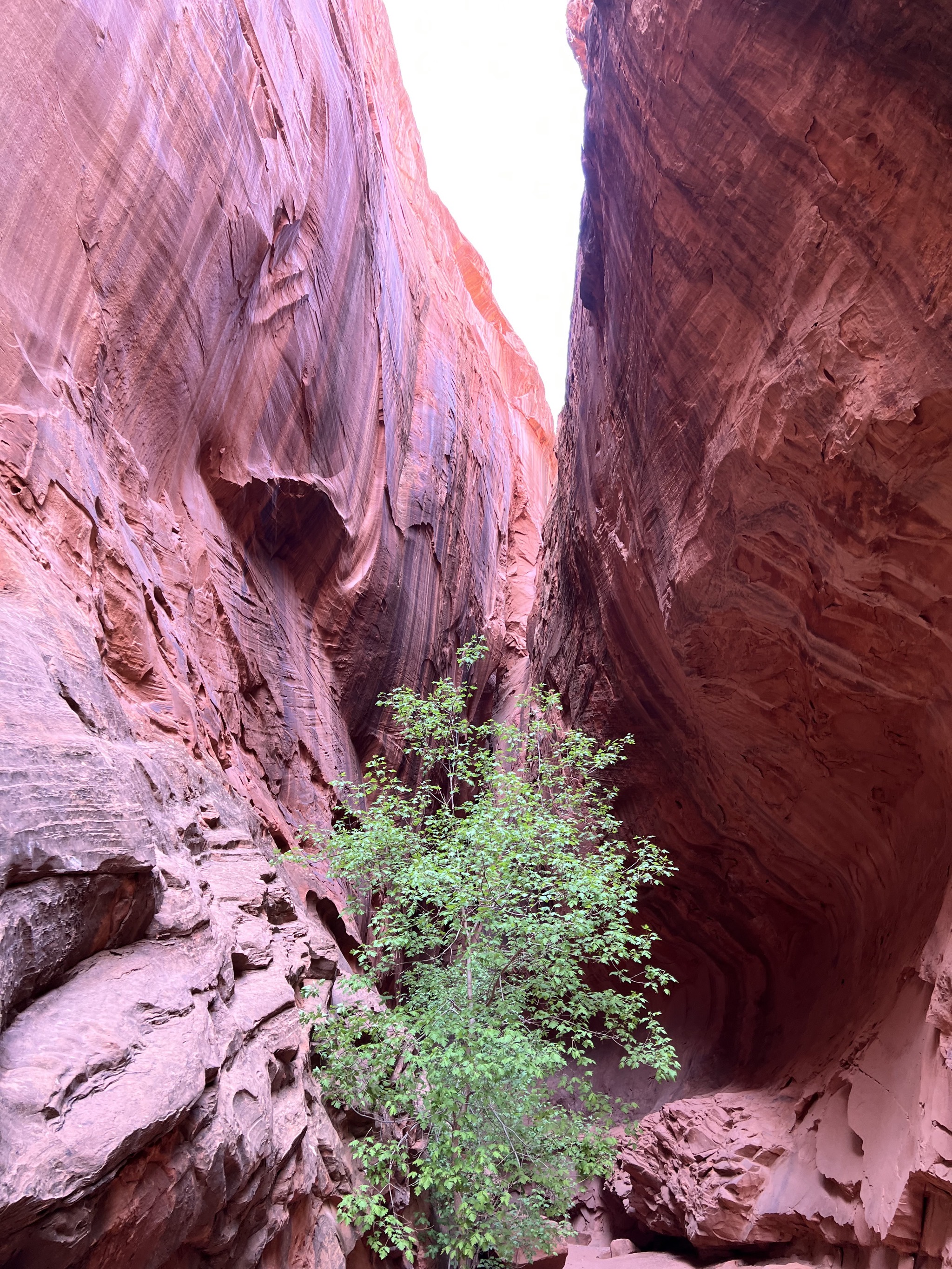 Singing canyon