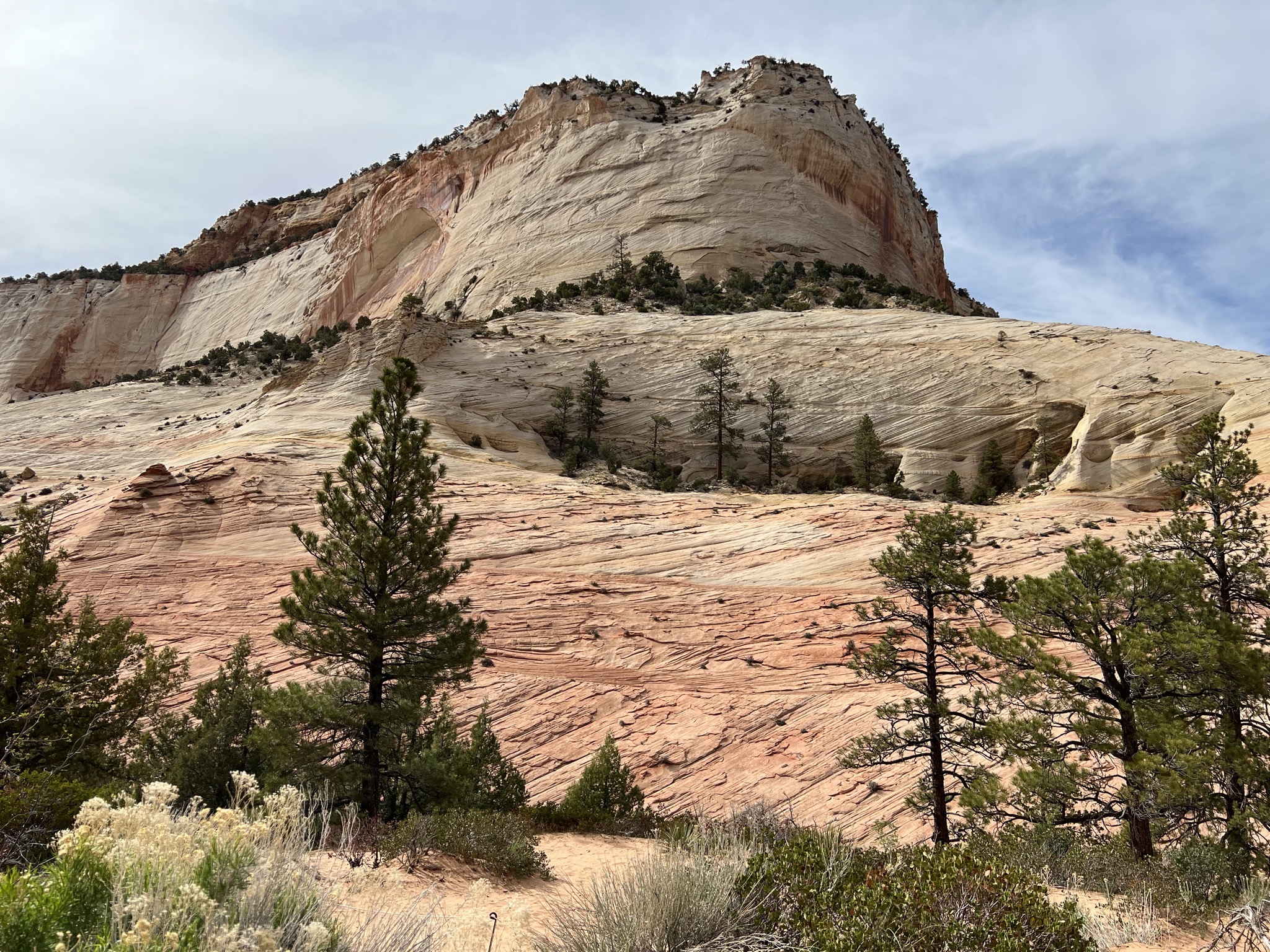Zion National Park