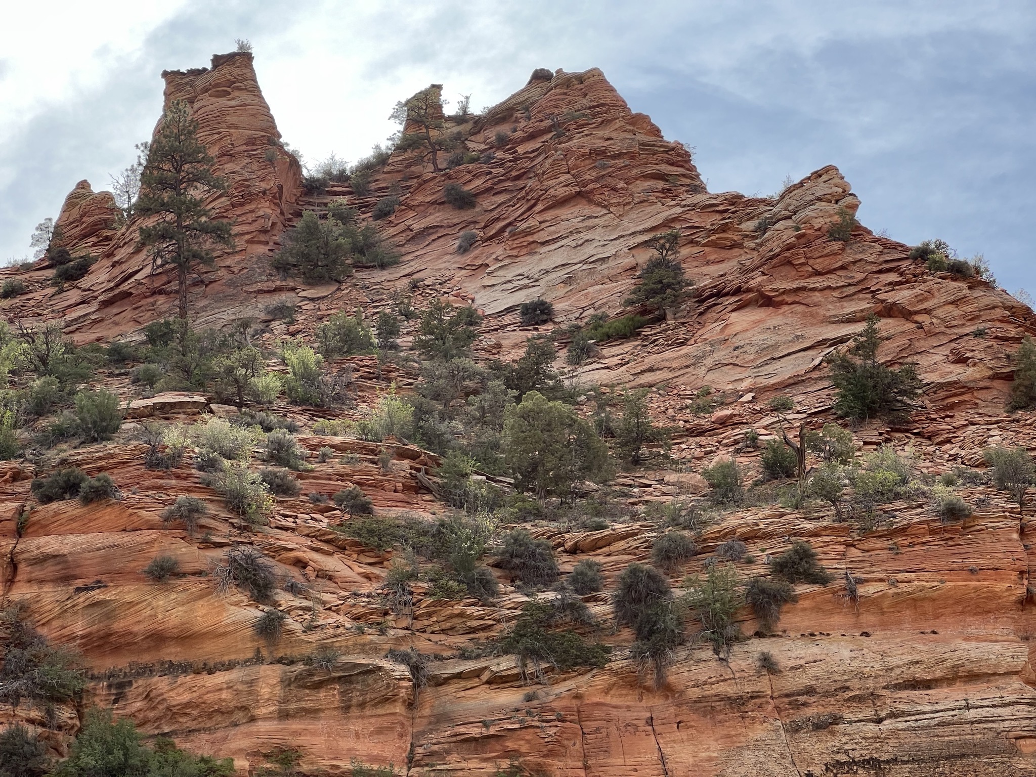 Zion National Park