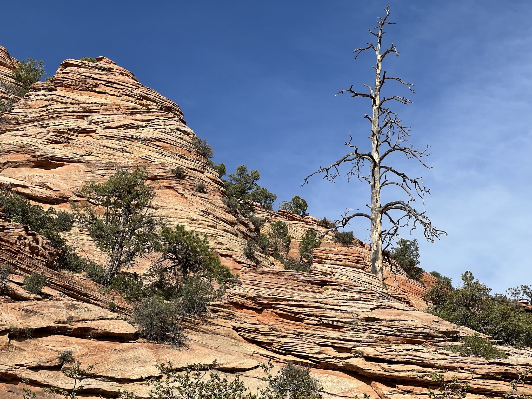 Zion National Park