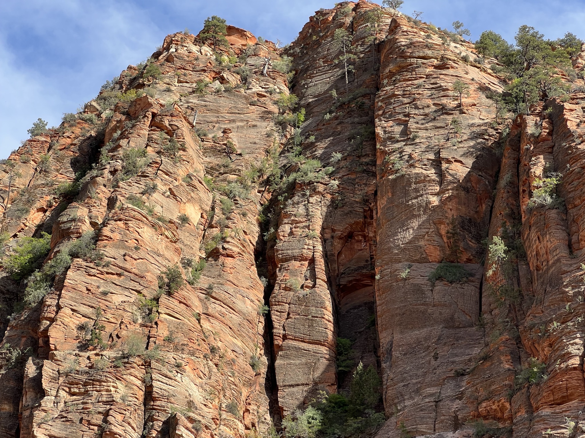 Zion National Park