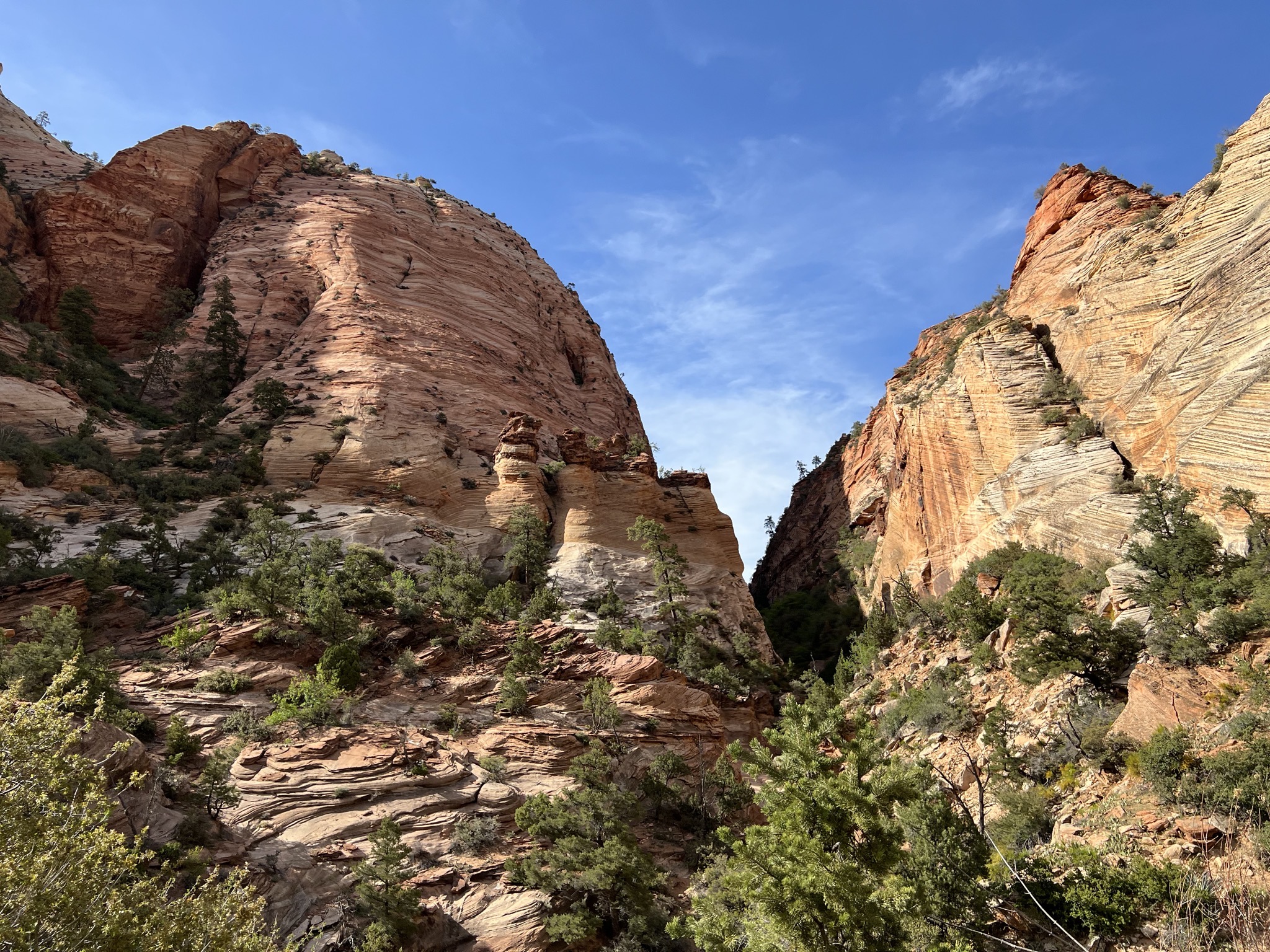Zion National Park