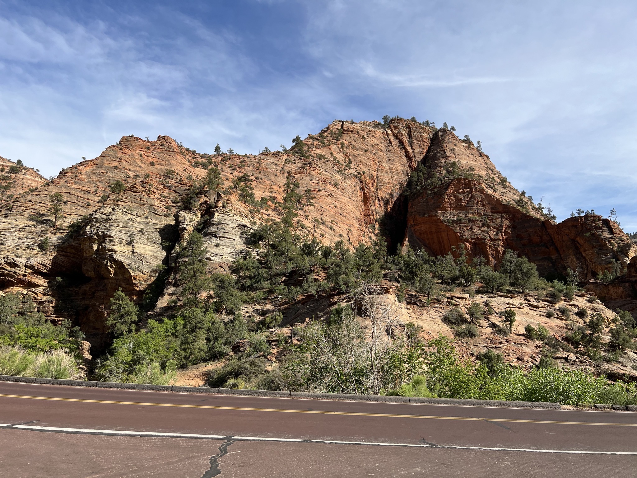 Zion National Park