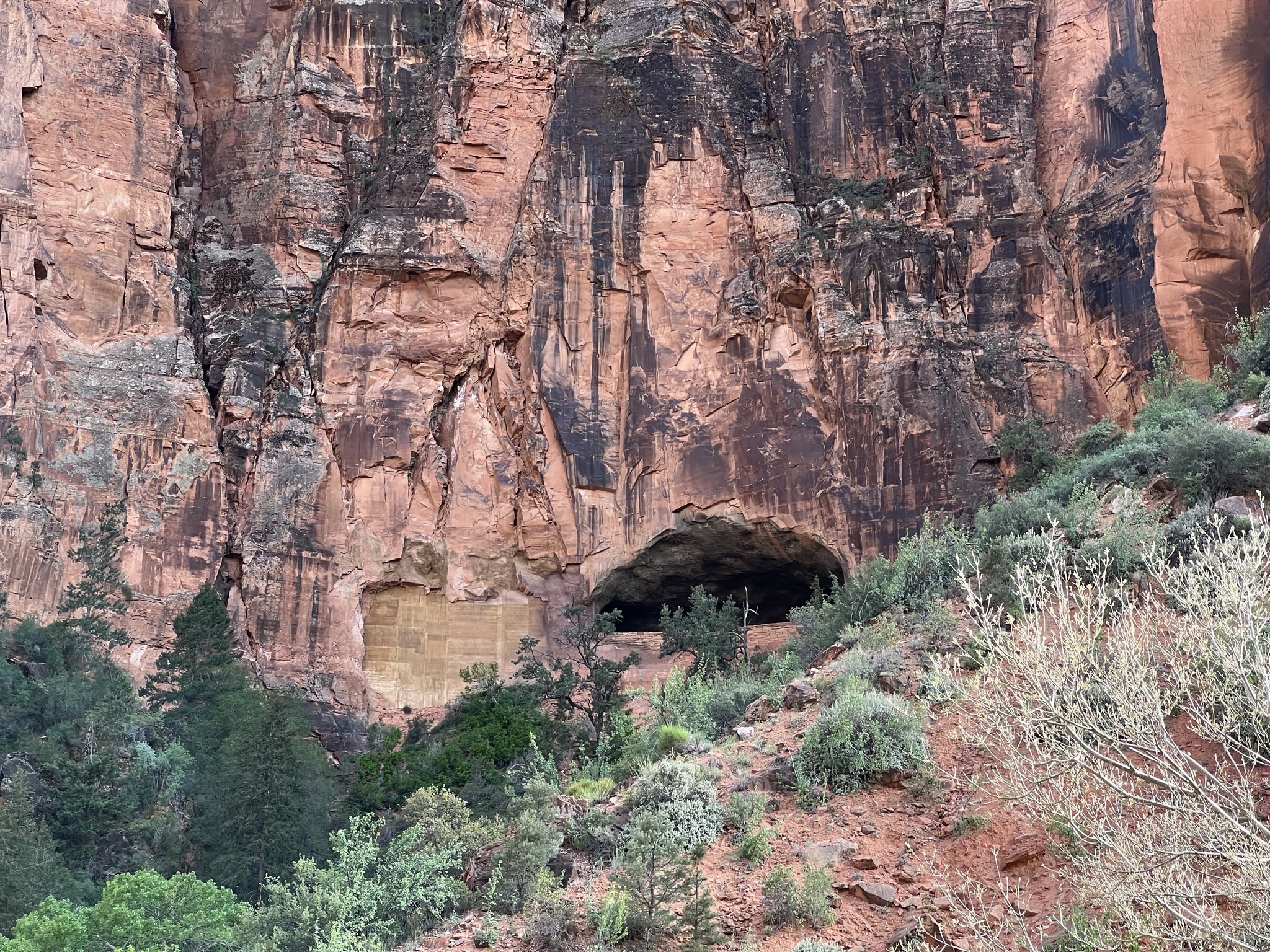 Zion National Park