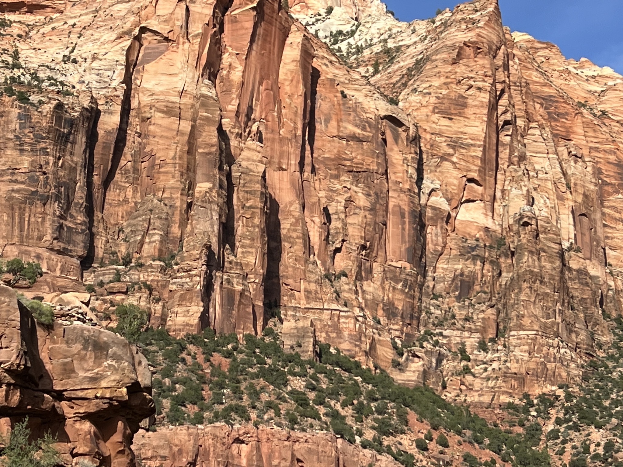 Zion National Park