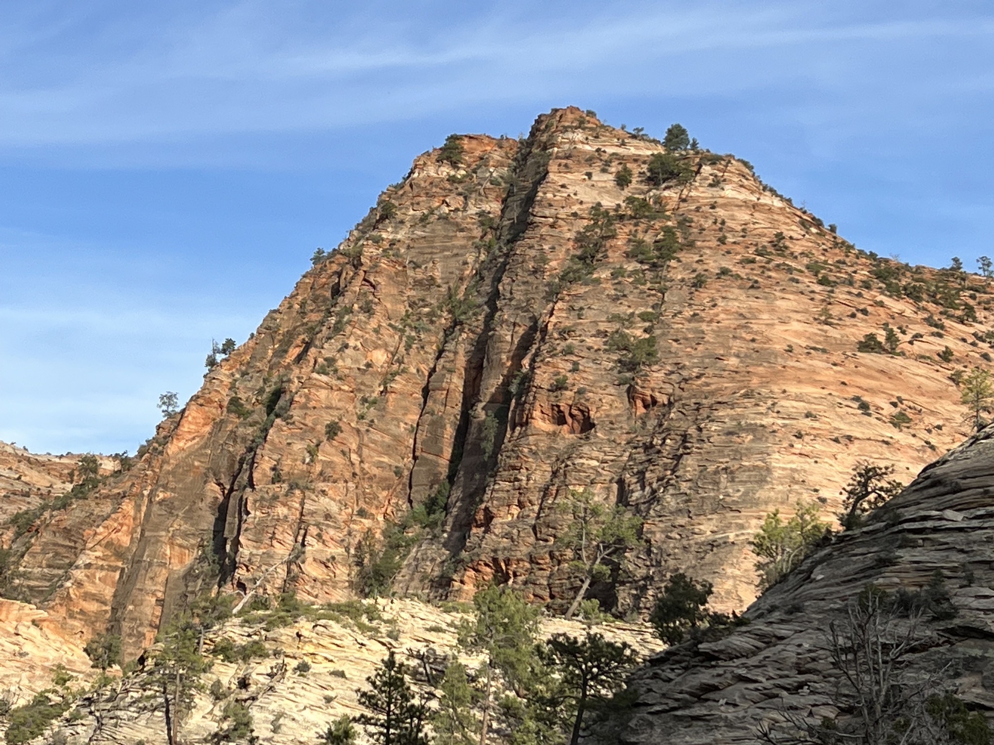 Zion National Park