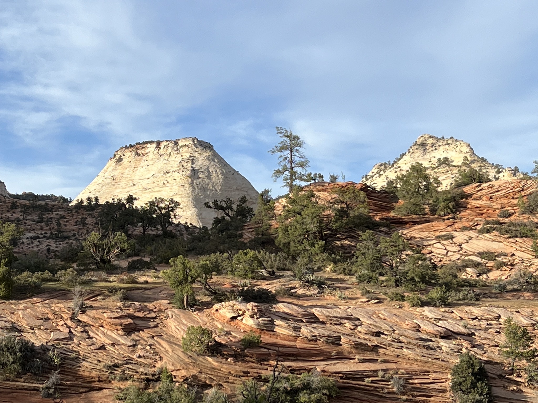 Zion National Park