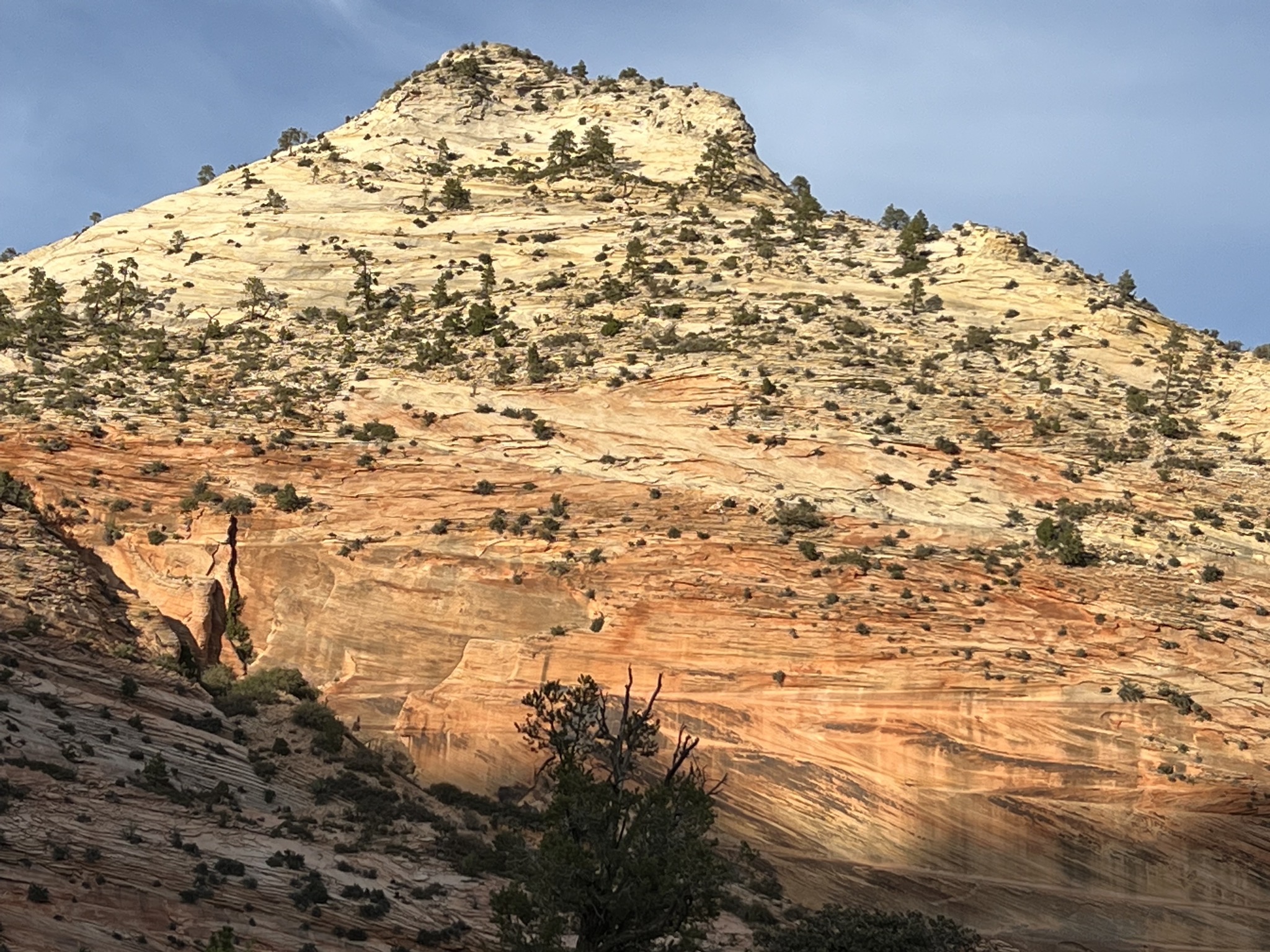 Zion National Park