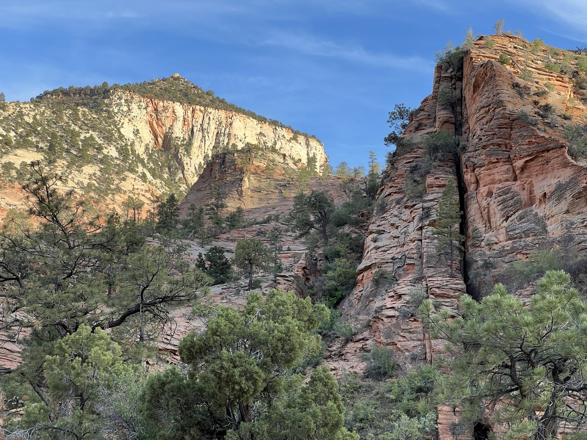 Zion National Park