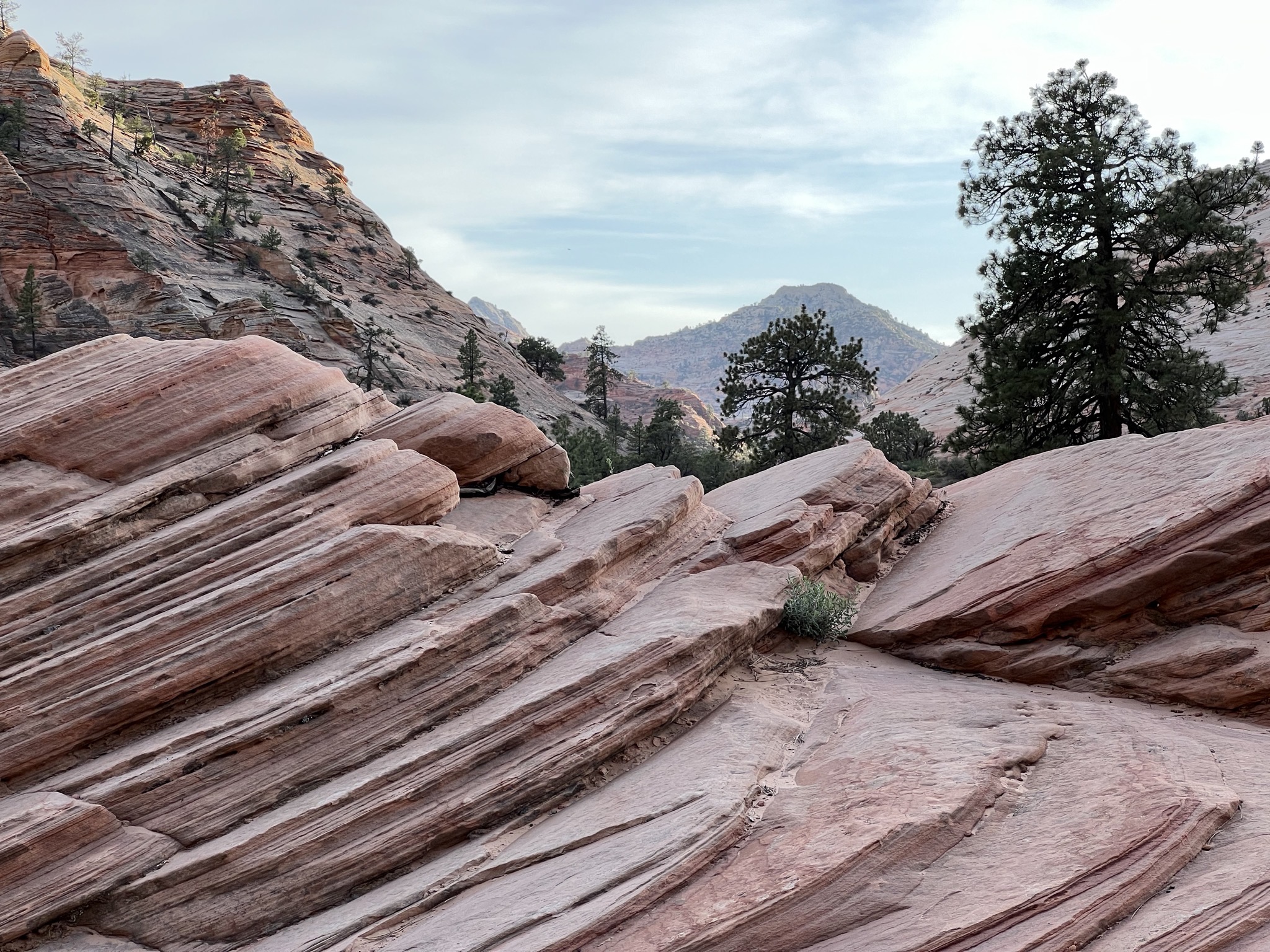 Zion National Park